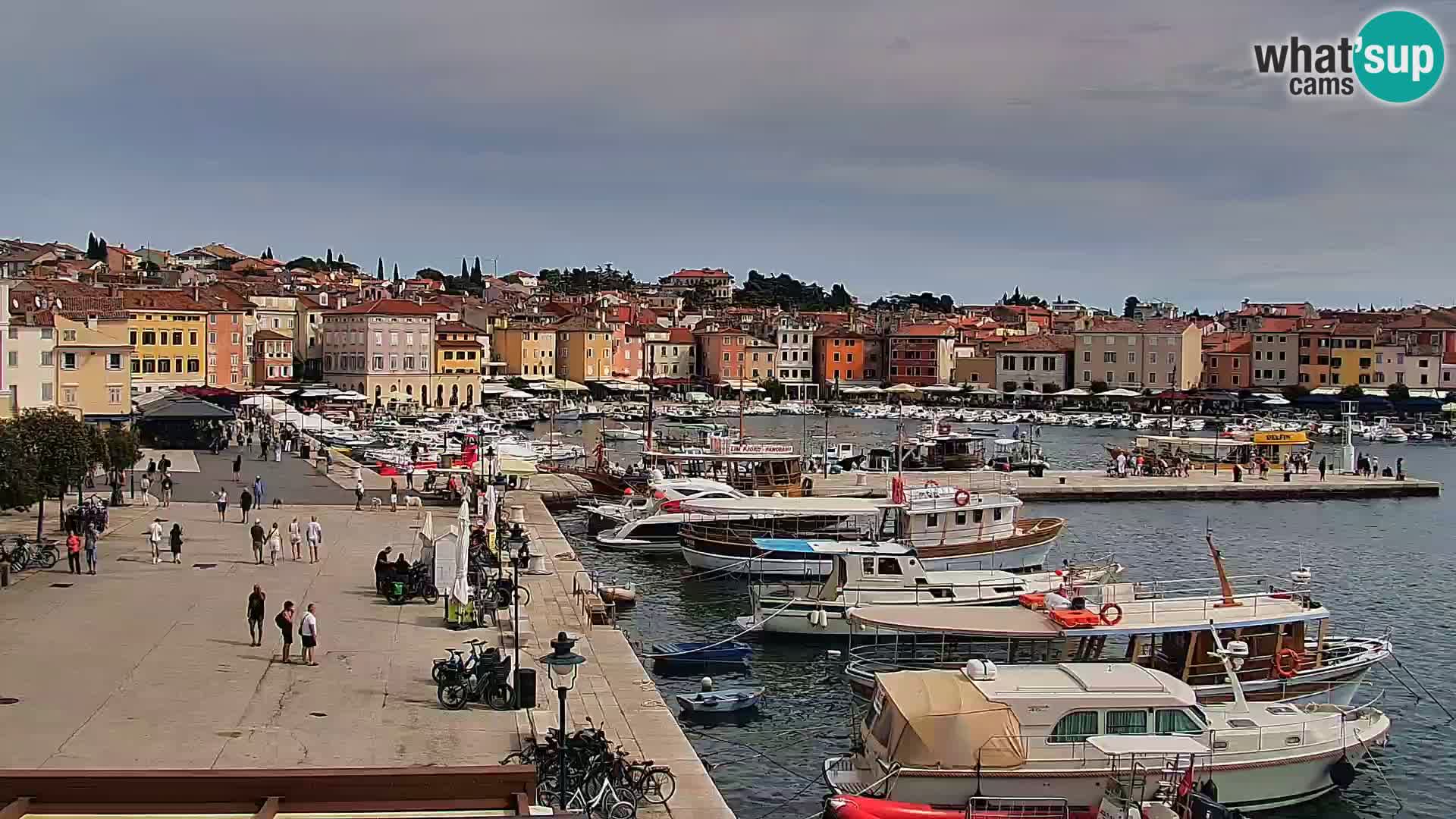 Promenade e marina en Rovinj