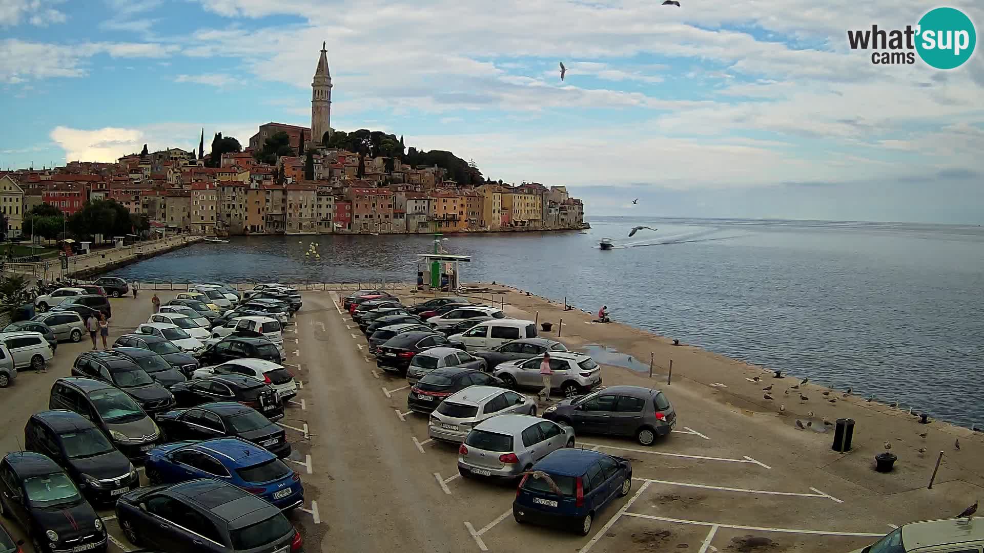 ROVINJ WEBCAM panorama of city – Istria – Croatia