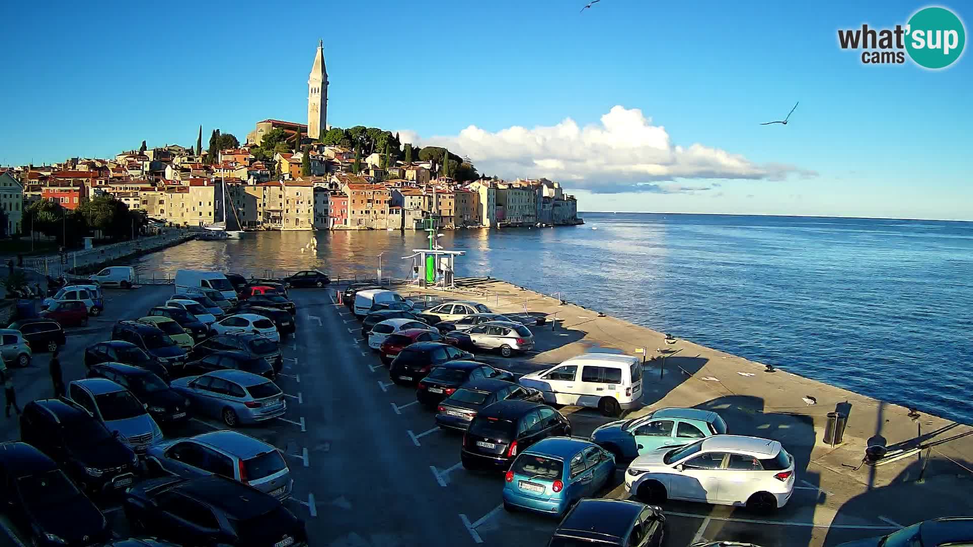 Webcam Rovinj – panorama of city – Istria – Croatia