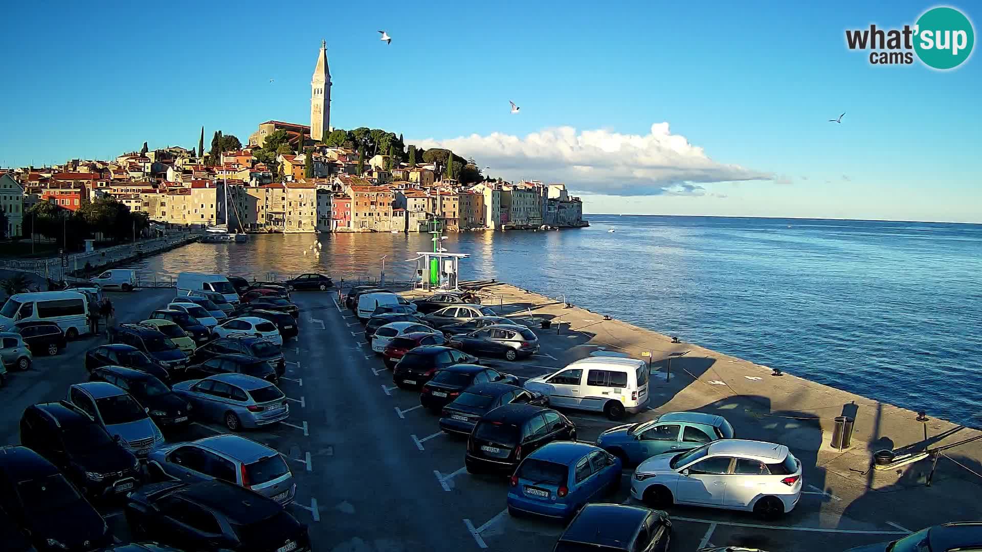 Webcam live Rovinj – panorama de la ville