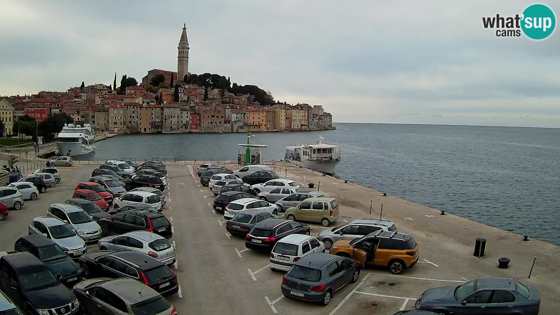 Webcam Rovigno / Rovinj – panorama della città