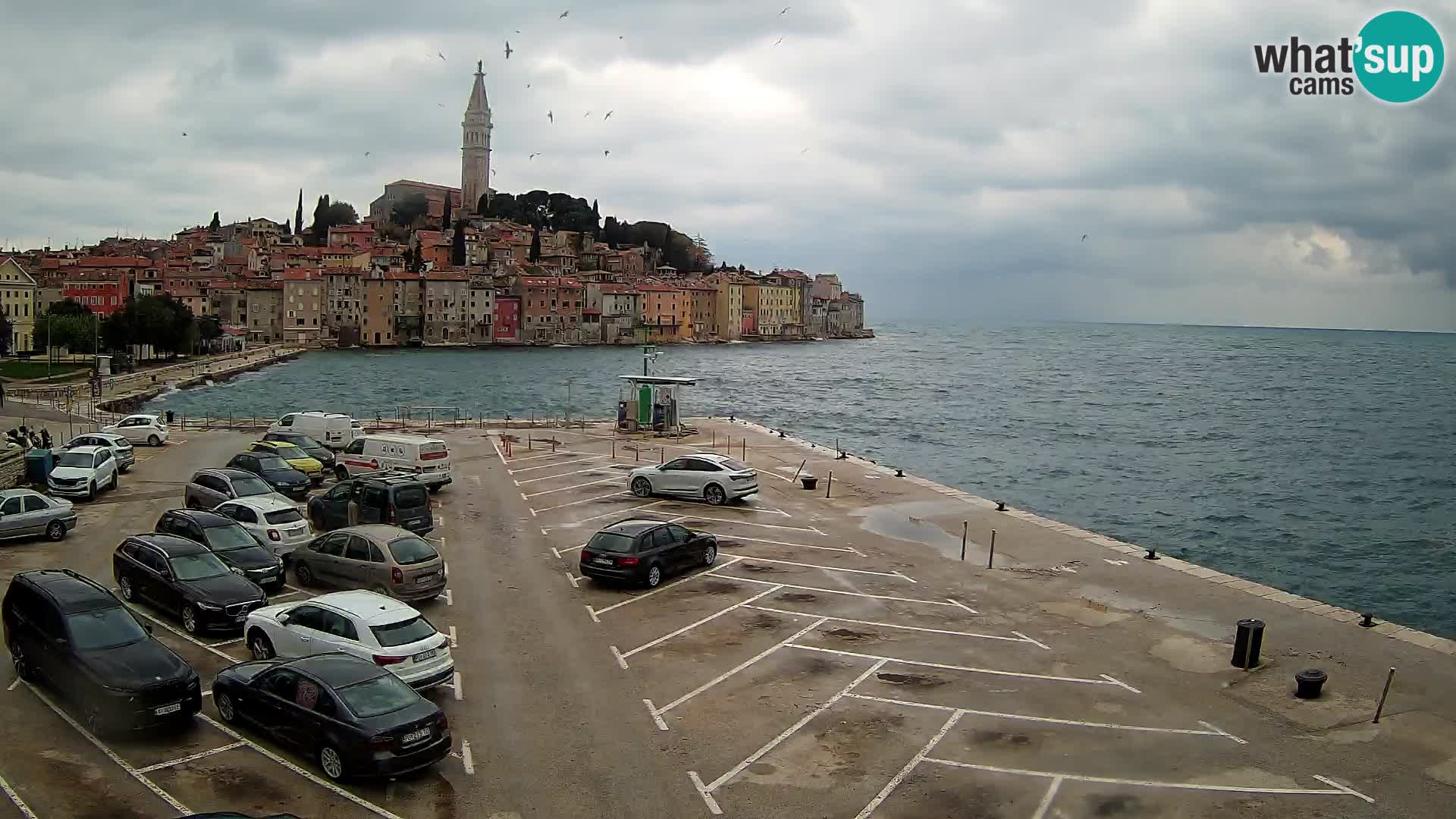 Webcam Rovinj panorama de la ciudad | Istria