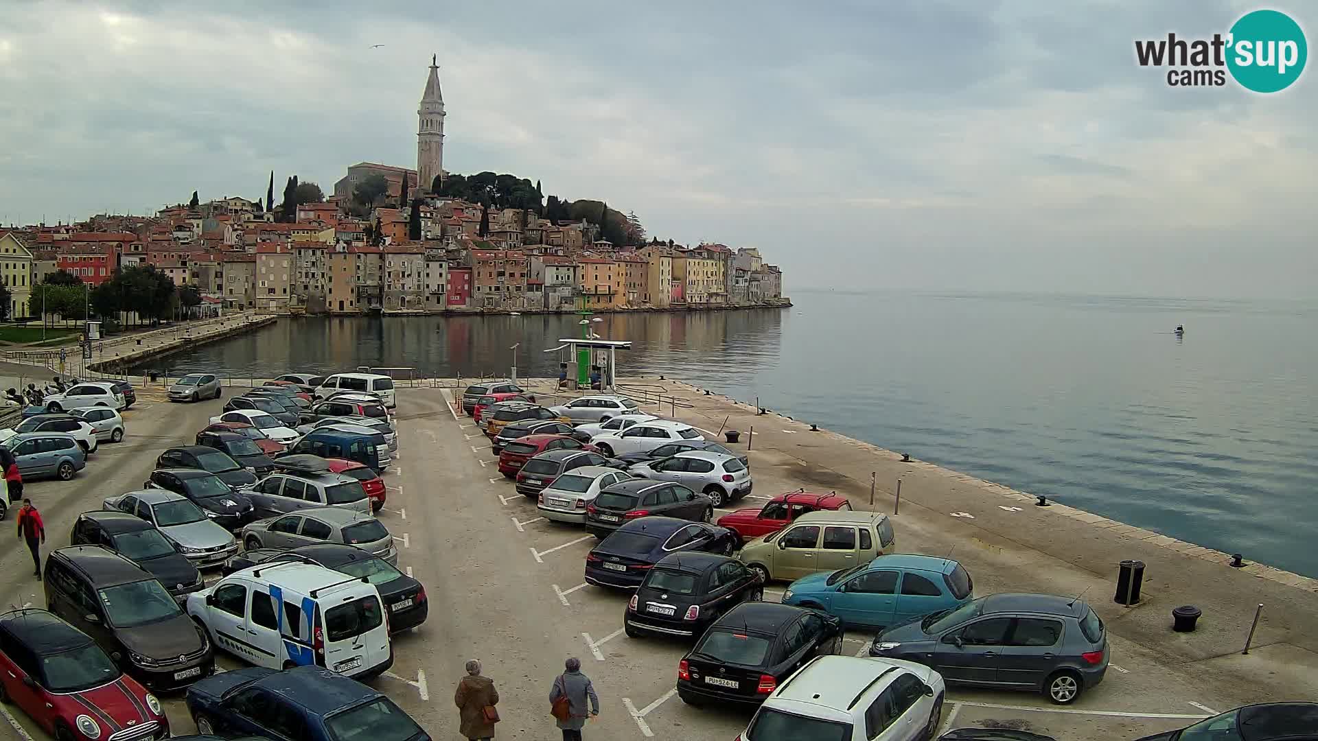 Webcam Rovinj panorama de la ciudad | Istria