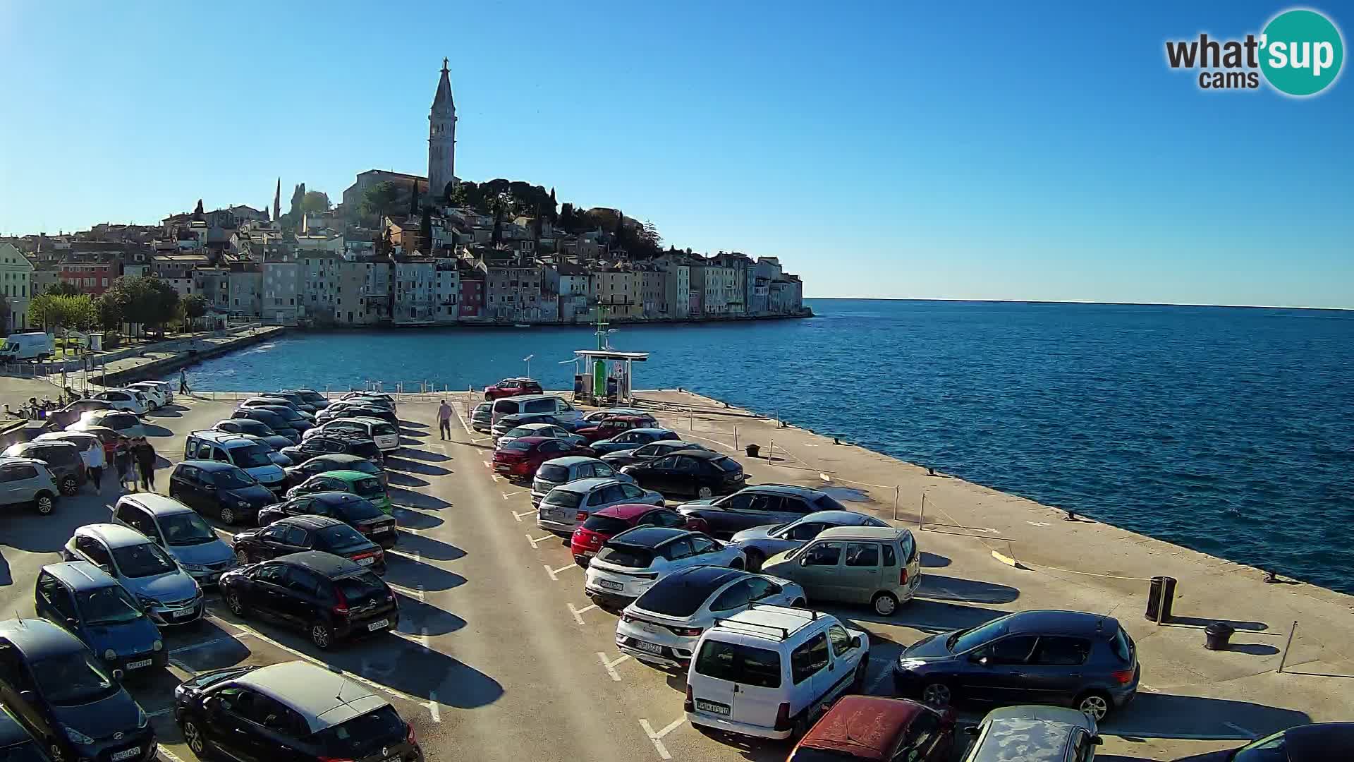 Webcam Rovinj panorama de la ciudad | Istria