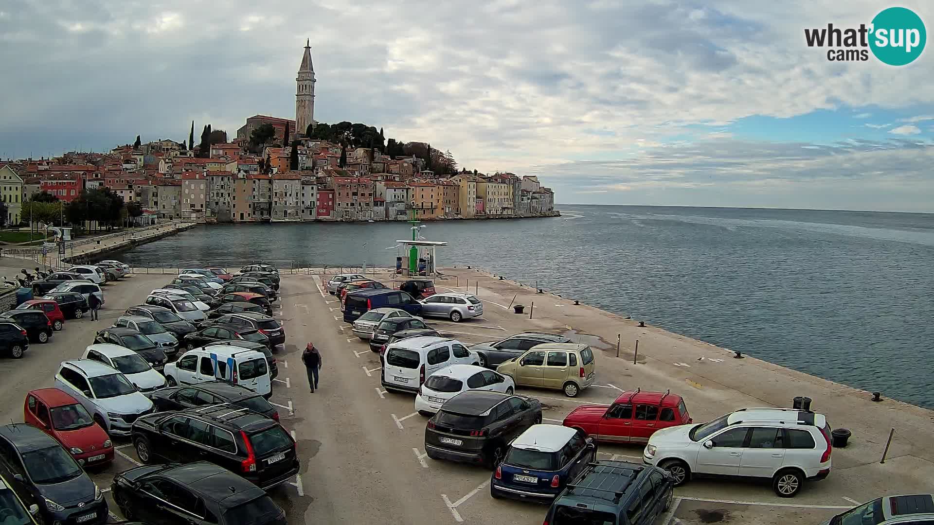 Webcam Rovinj panorama de la ciudad | Istria