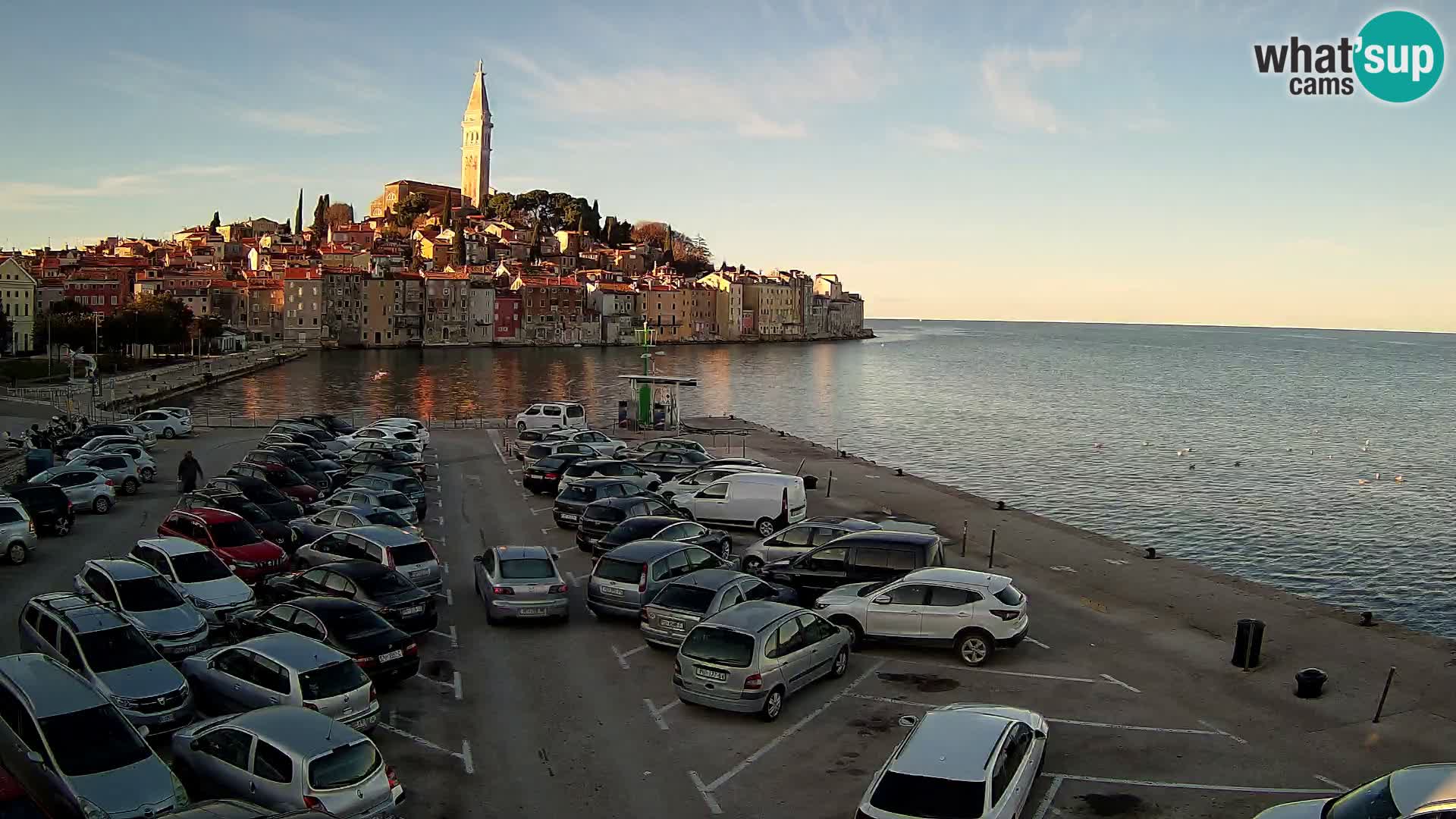 Webcam Rovigno / Rovinj – panorama della città