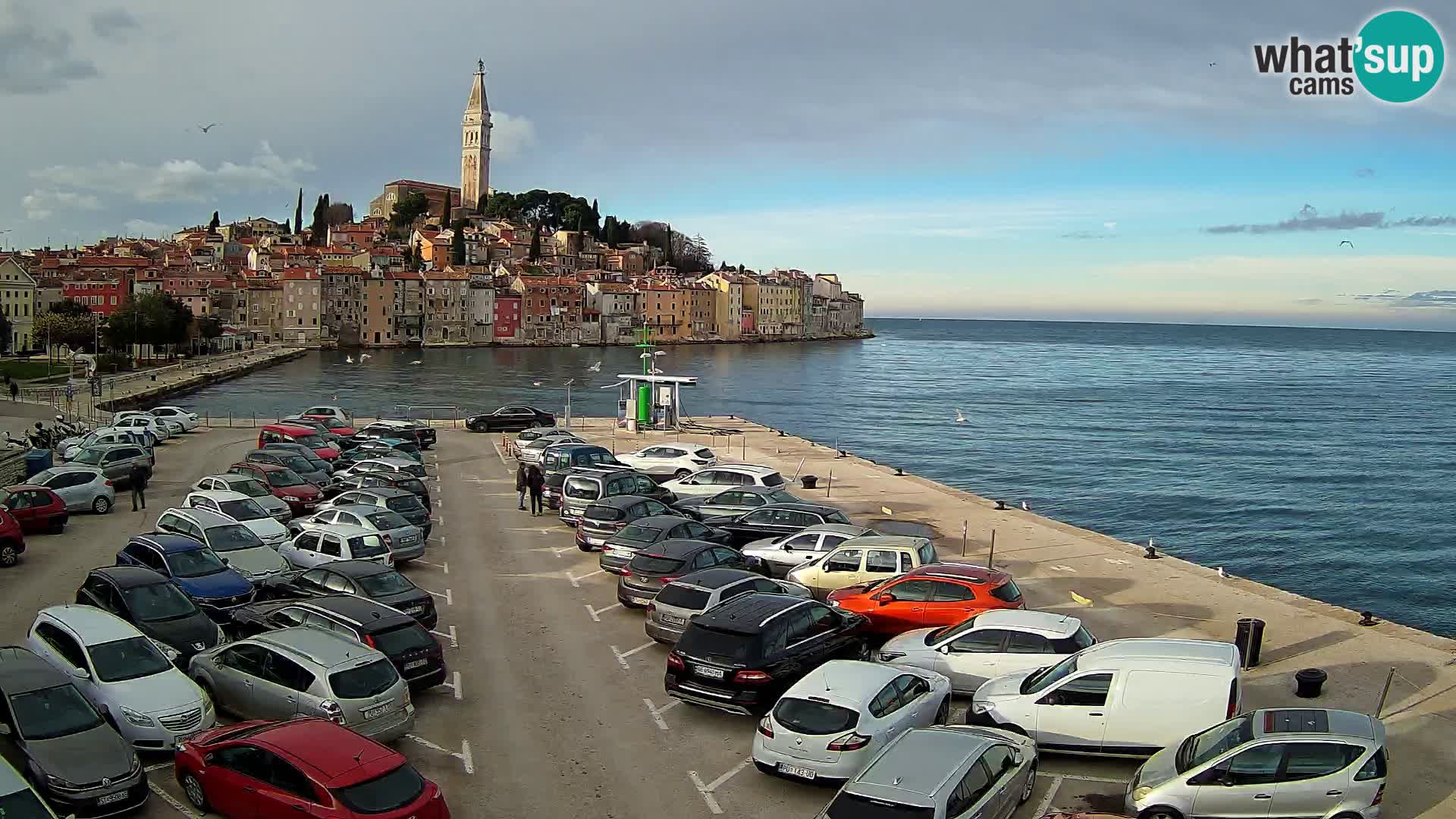 Webcam ROVIGNO Panorama della Città di Rovinj – Istria