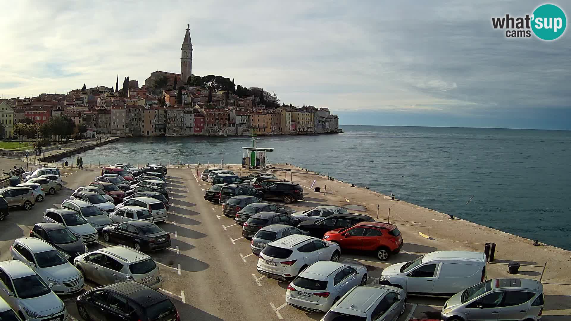 ROVINJ WEBCAM panorama of city – Istria – Croatia