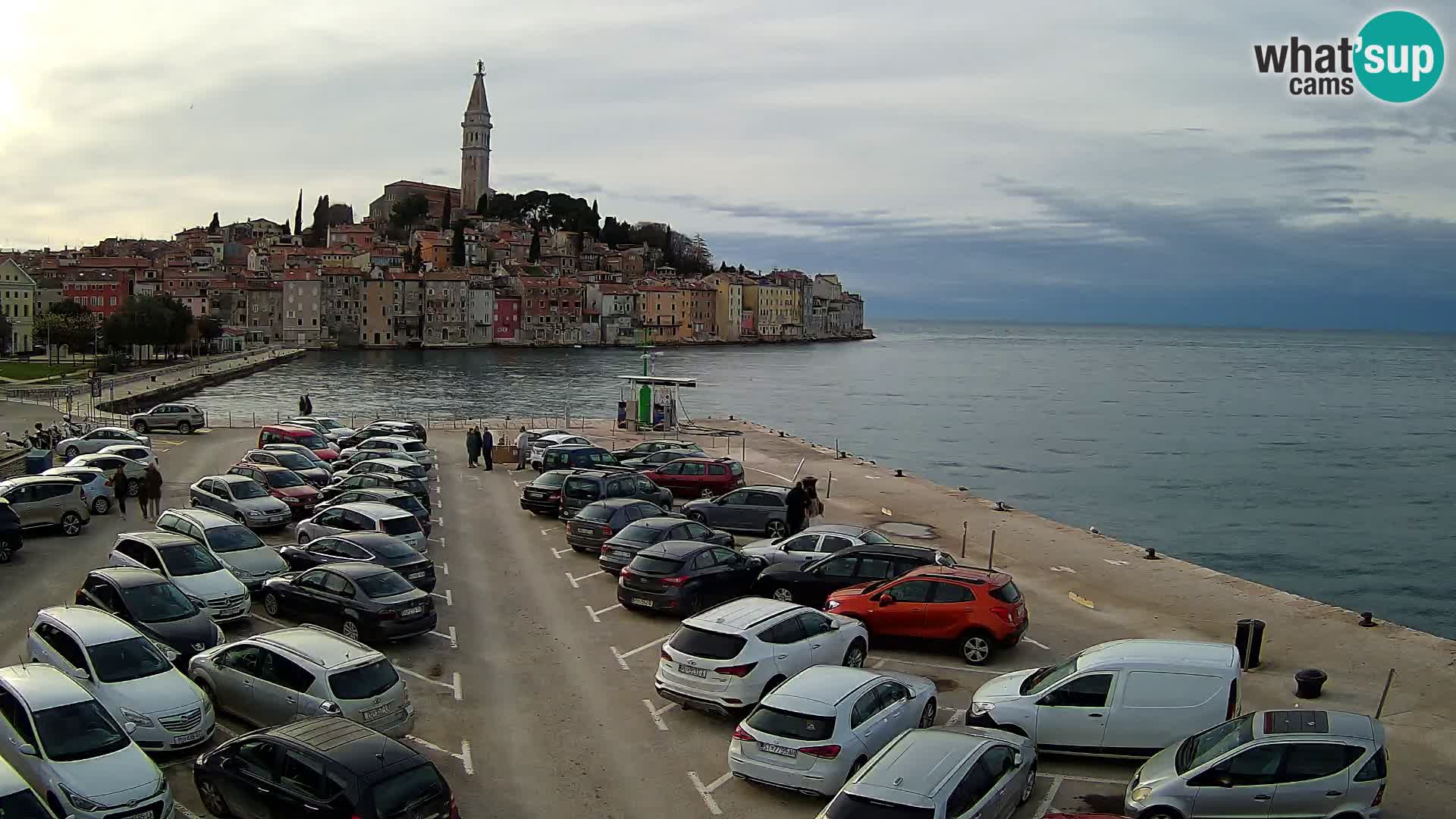 Webcam Rovinj panorama de la ciudad | Istria