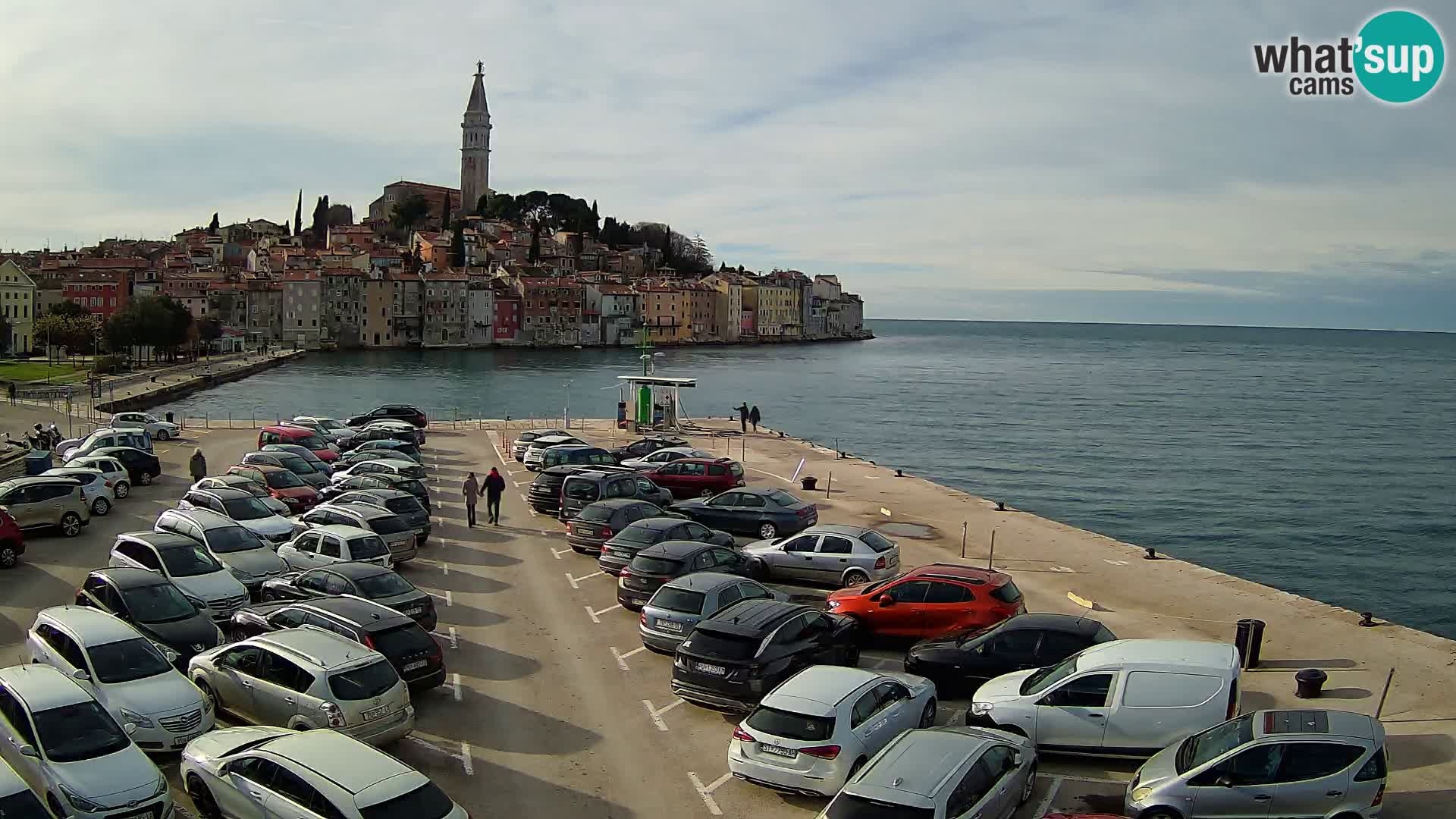 Webcam Rovinj panorama de la ciudad | Istria