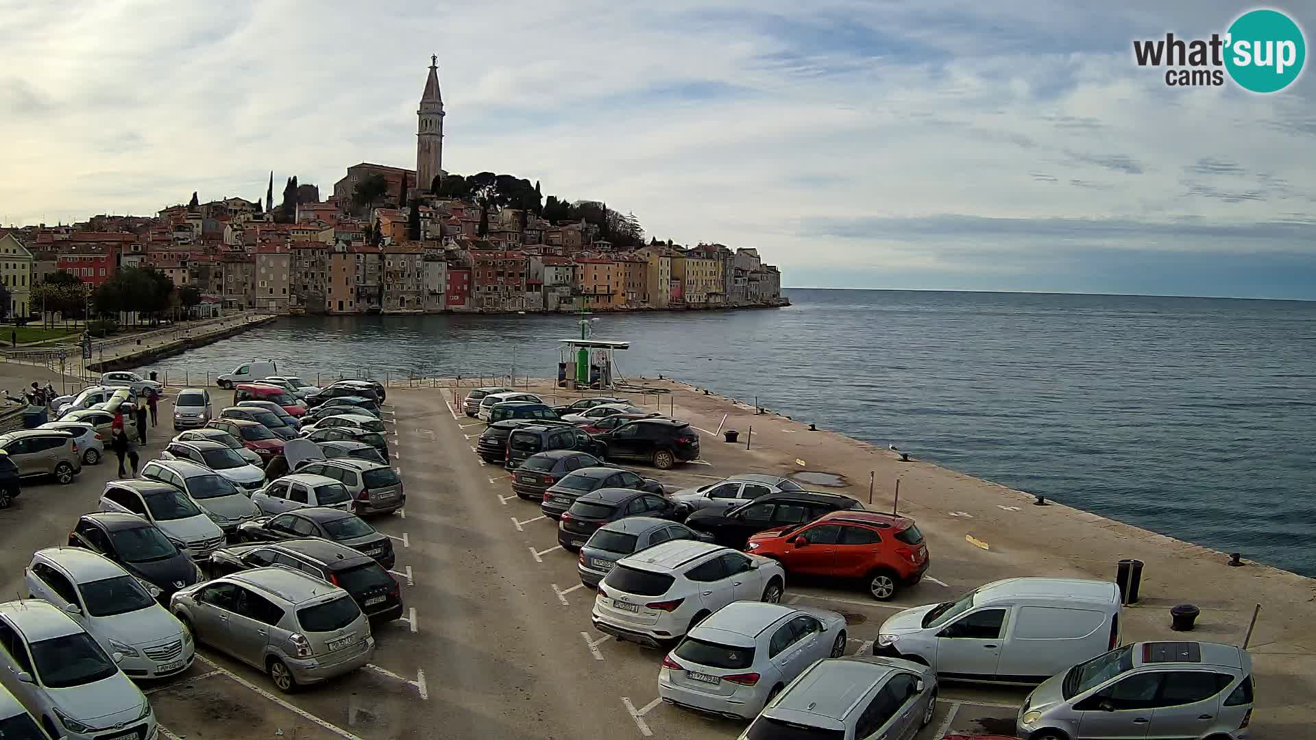 Webcam Rovinj panorama de la ciudad | Istria