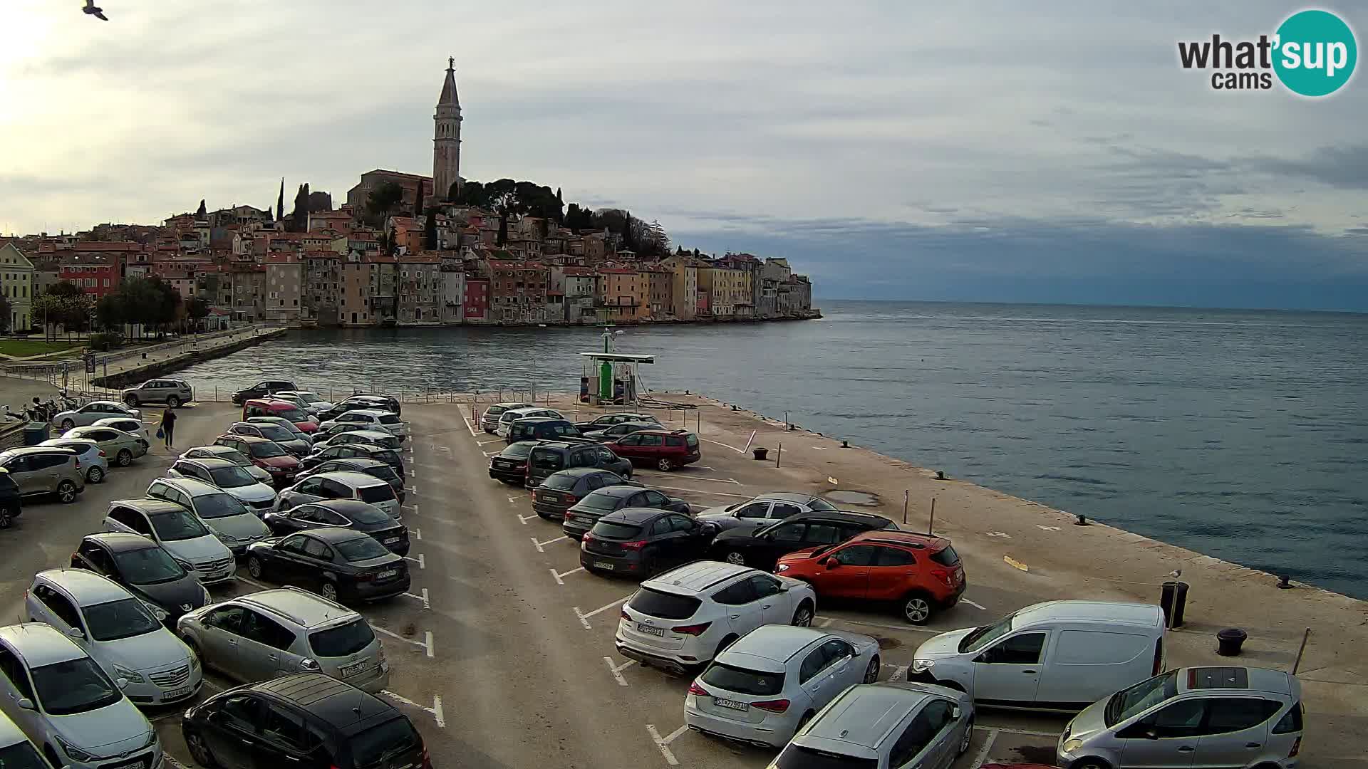 Webcam Rovinj panorama de la ciudad | Istria