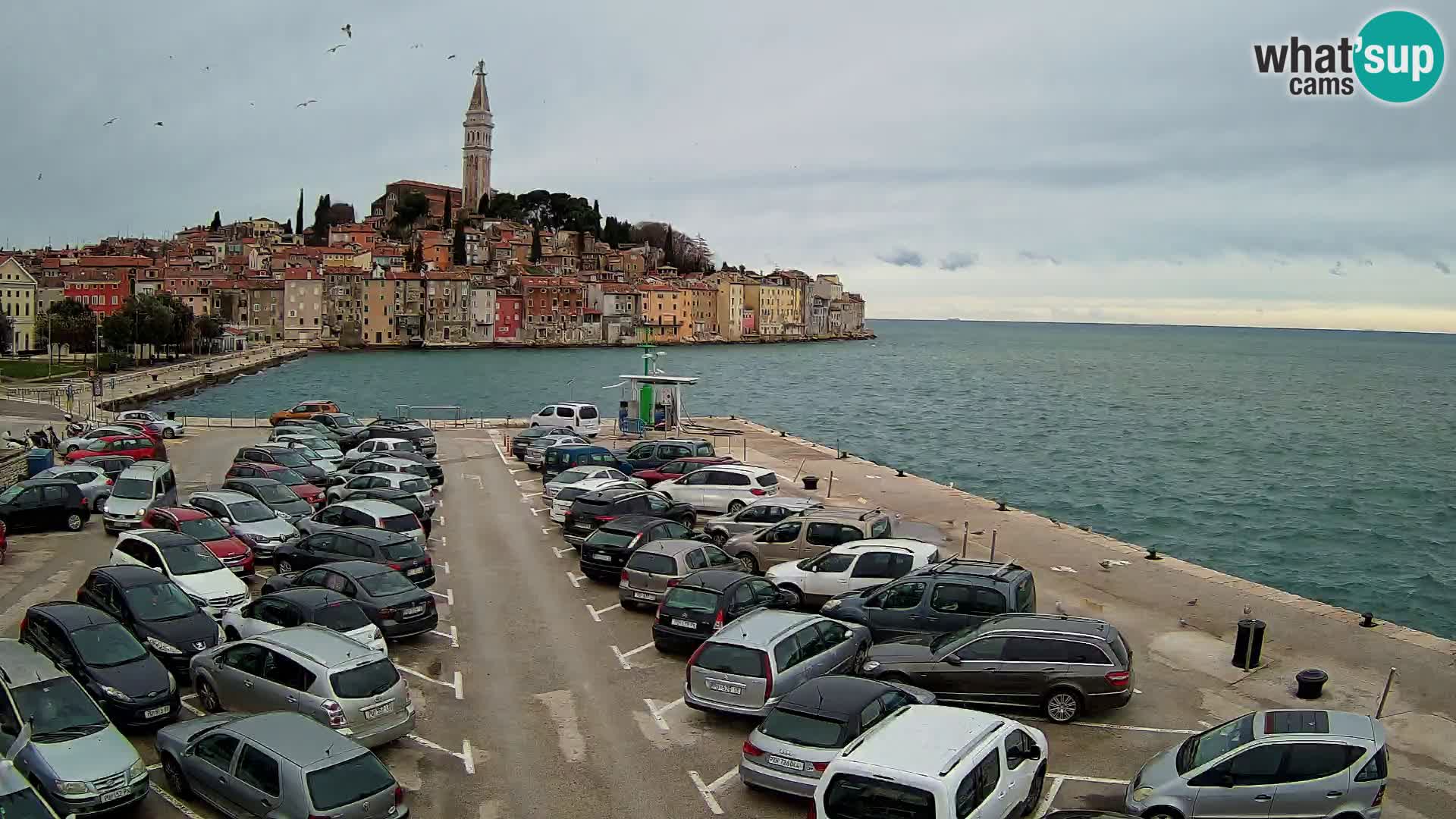 Webcam Rovinj Panorama | Istrien – Kroatien