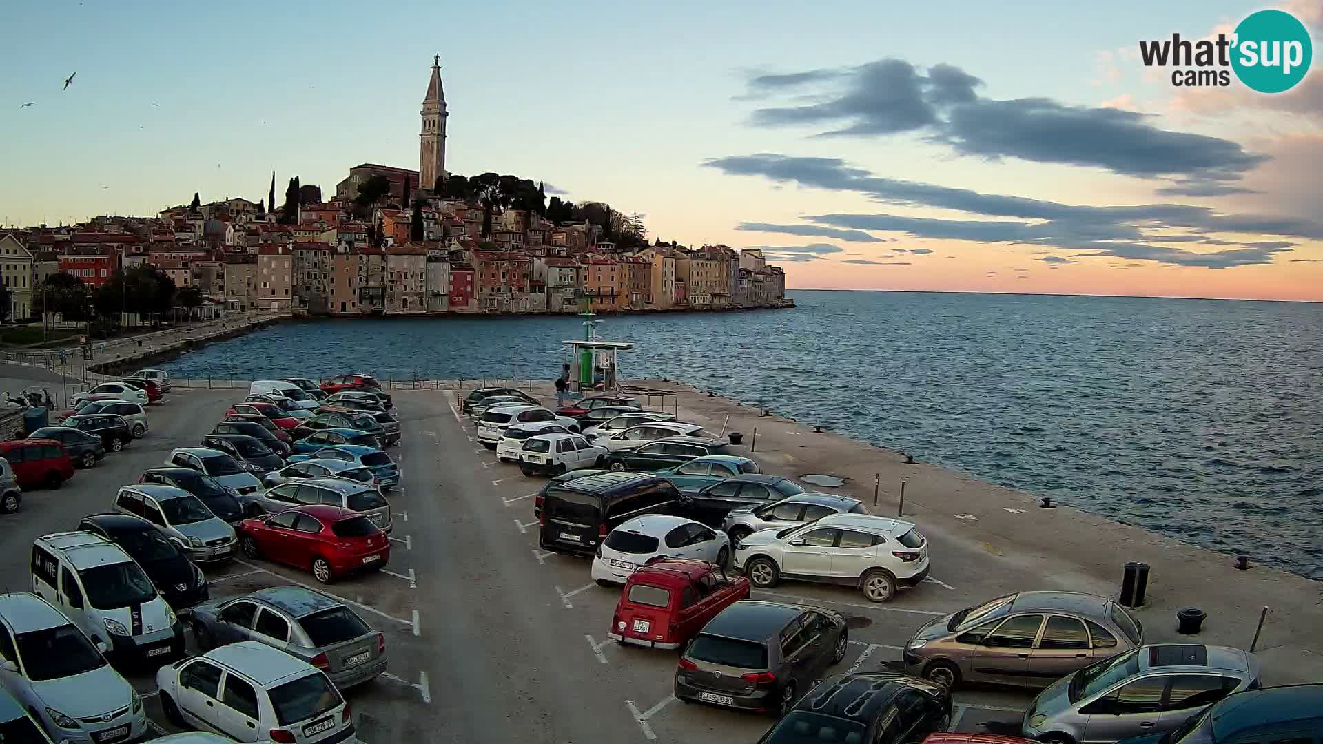 Spletna kamera Rovinj panorama mesta | Istra