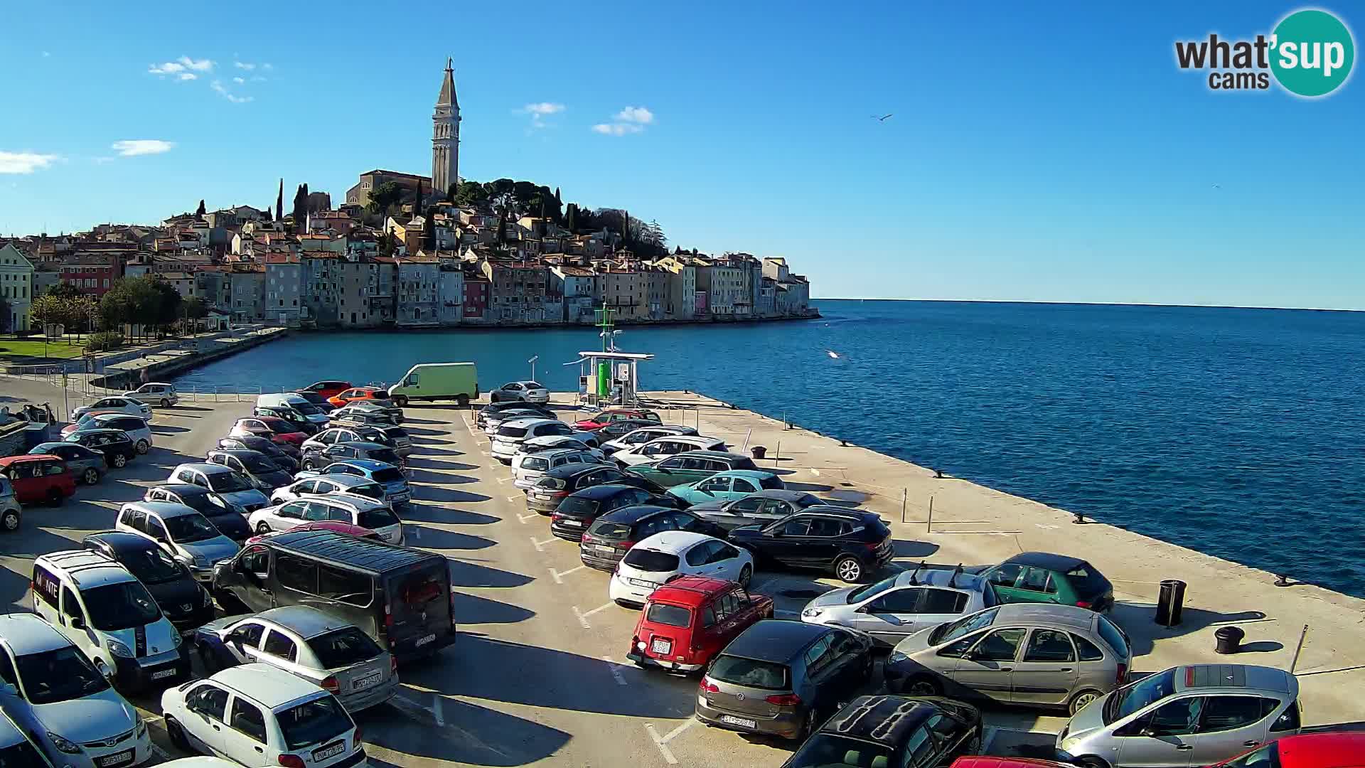 Webcam live Rovinj panorama de la ville | Istrie