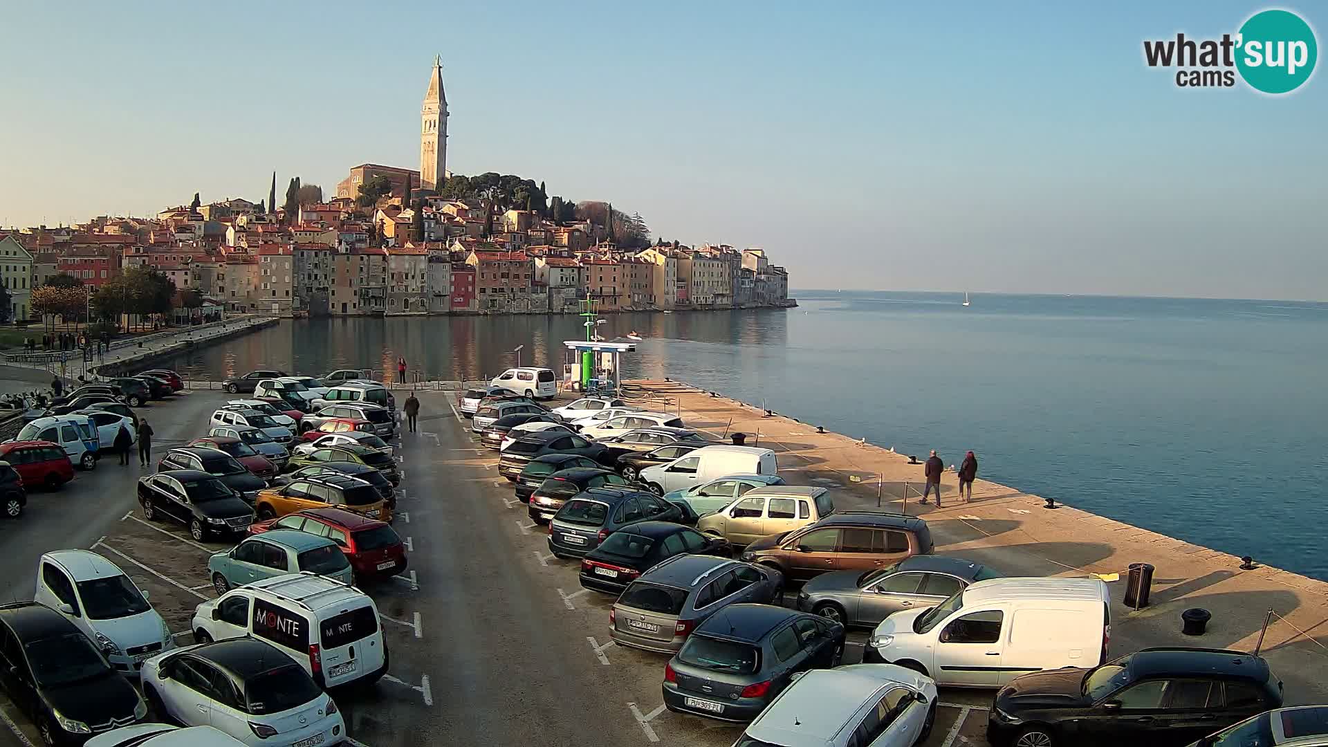 Webcam Rovinj panorama de la ciudad | Istria