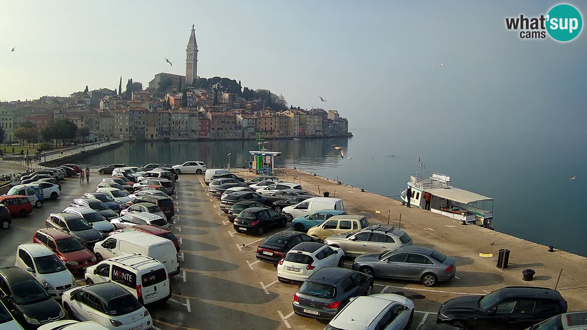 ROVINJ WEBCAM panorama of city – Istria – Croatia