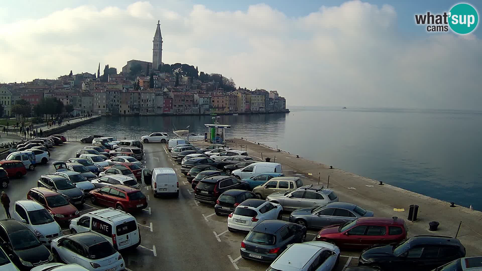 Webcam Rovinj panorama de la ciudad | Istria