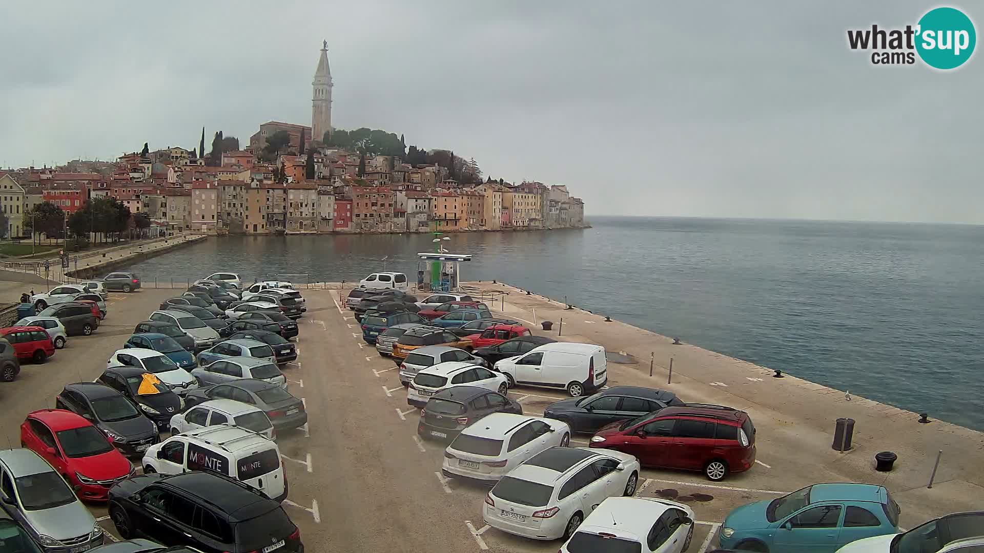 Webcam Rovinj panorama de la ciudad | Istria