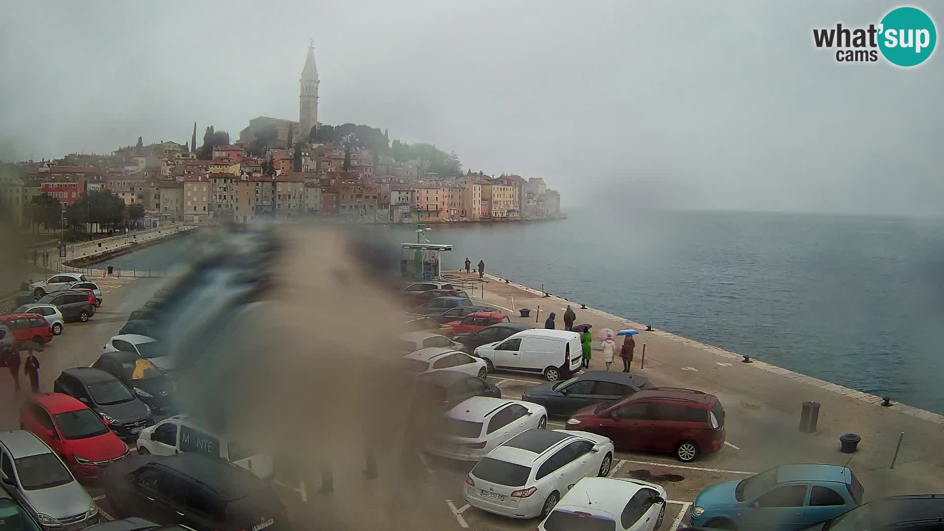 Webcam live Rovinj panorama de la ville | Istrie