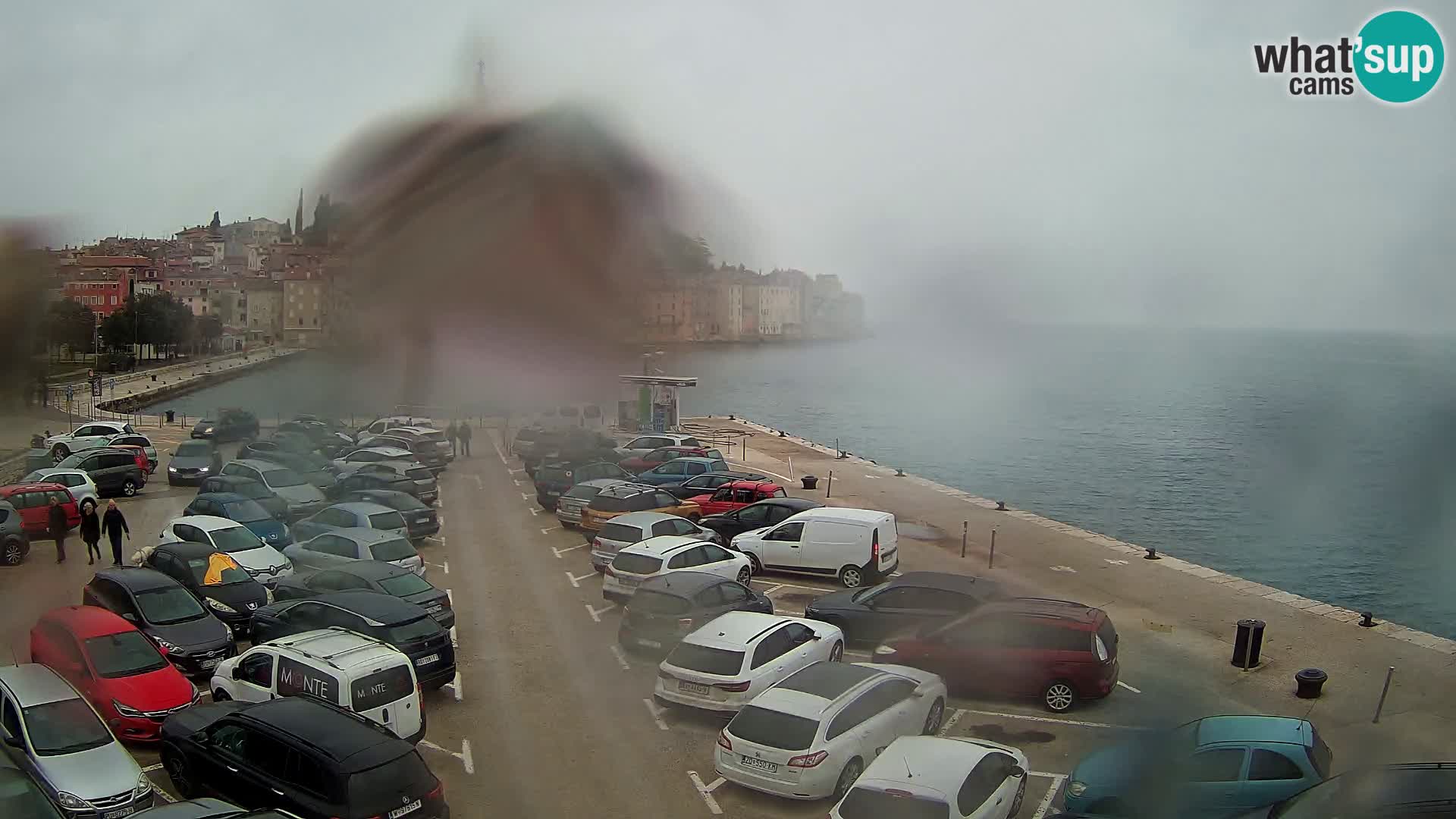 Webcam live Rovinj panorama de la ville | Istrie