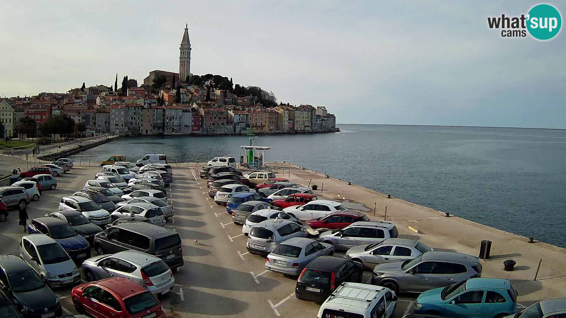 ROVINJ WEBCAM panorama of city – Istria – Croatia