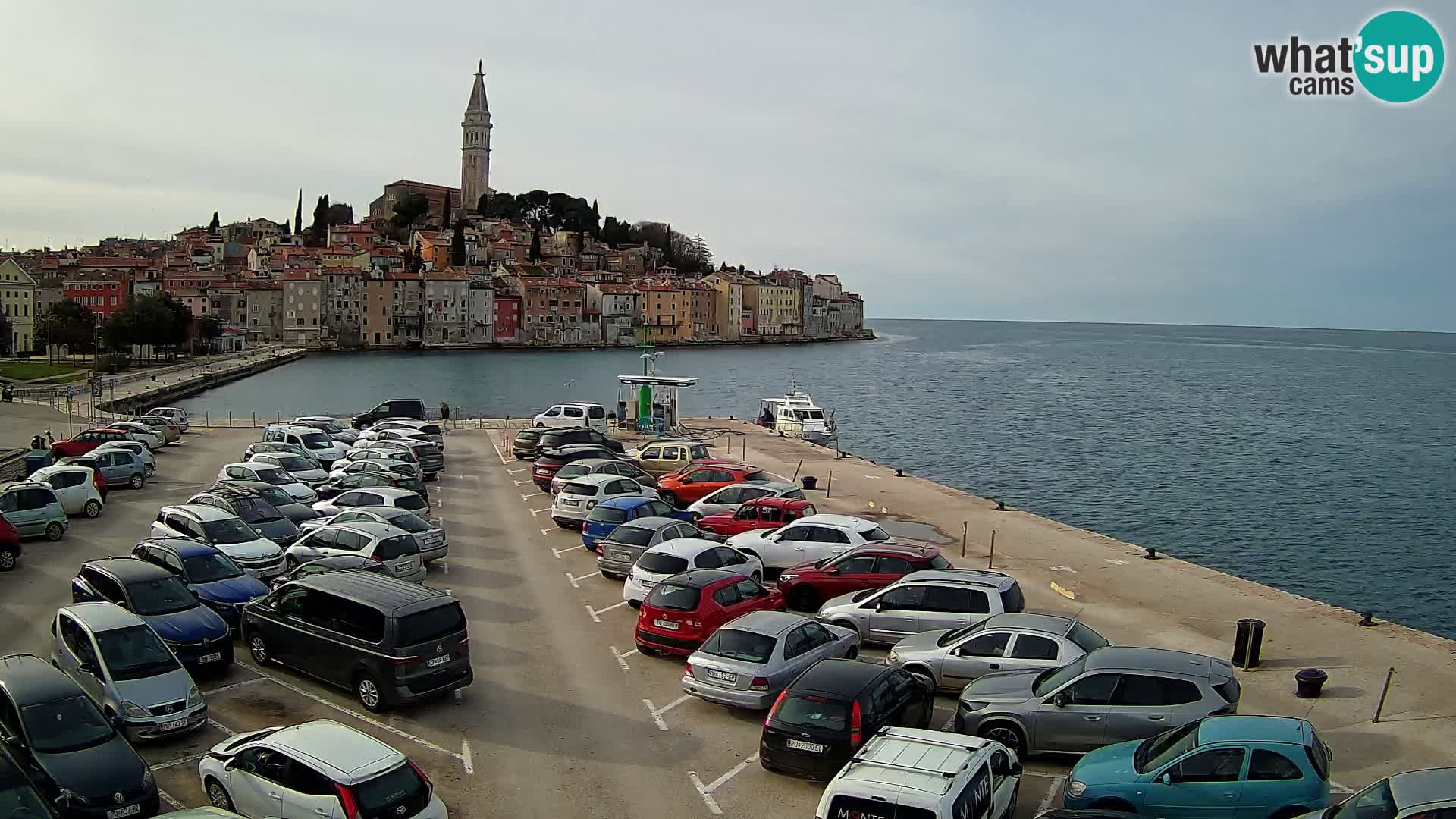 Spletna kamera Rovinj panorama mesta | Istra