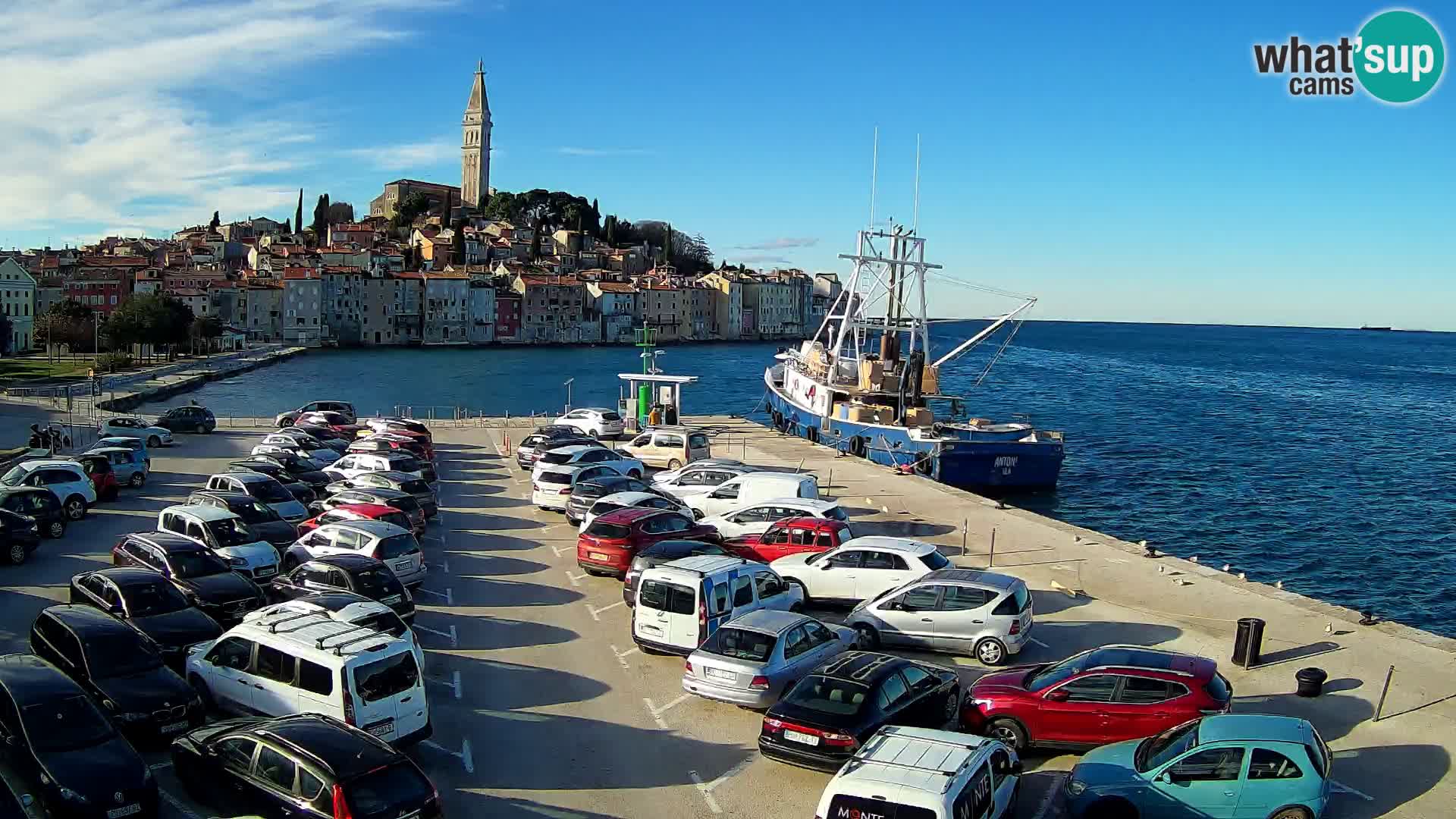 Webcam Rovinj panorama de la ciudad | Istria