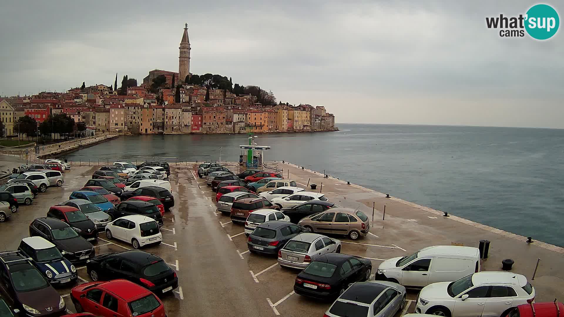 Webcam Rovinj panorama de la ciudad | Istria