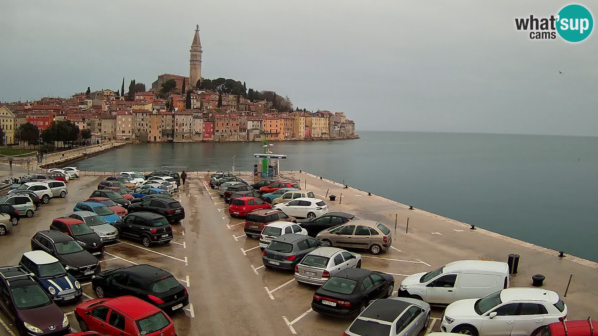 Web kamera Rovinj panorama grada