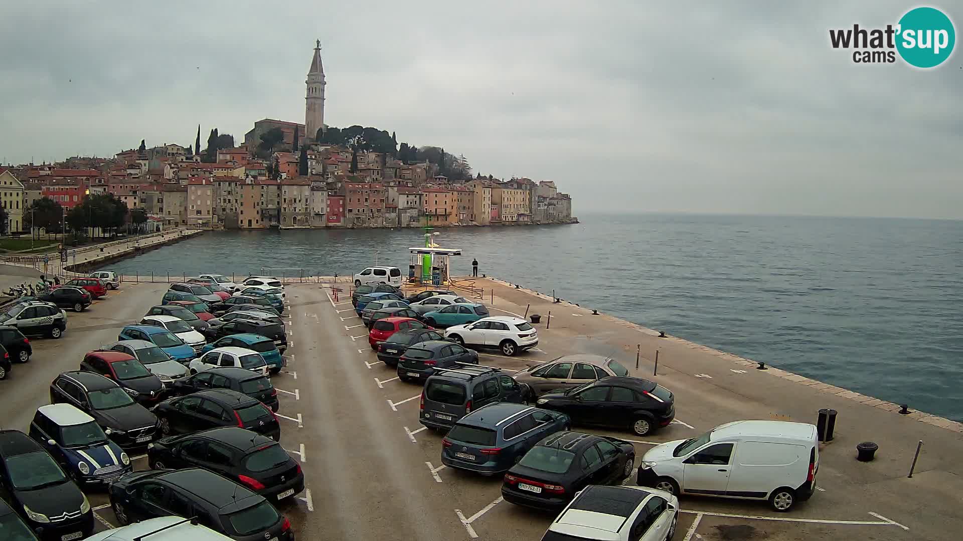 Web kamera Rovinj panorama grada