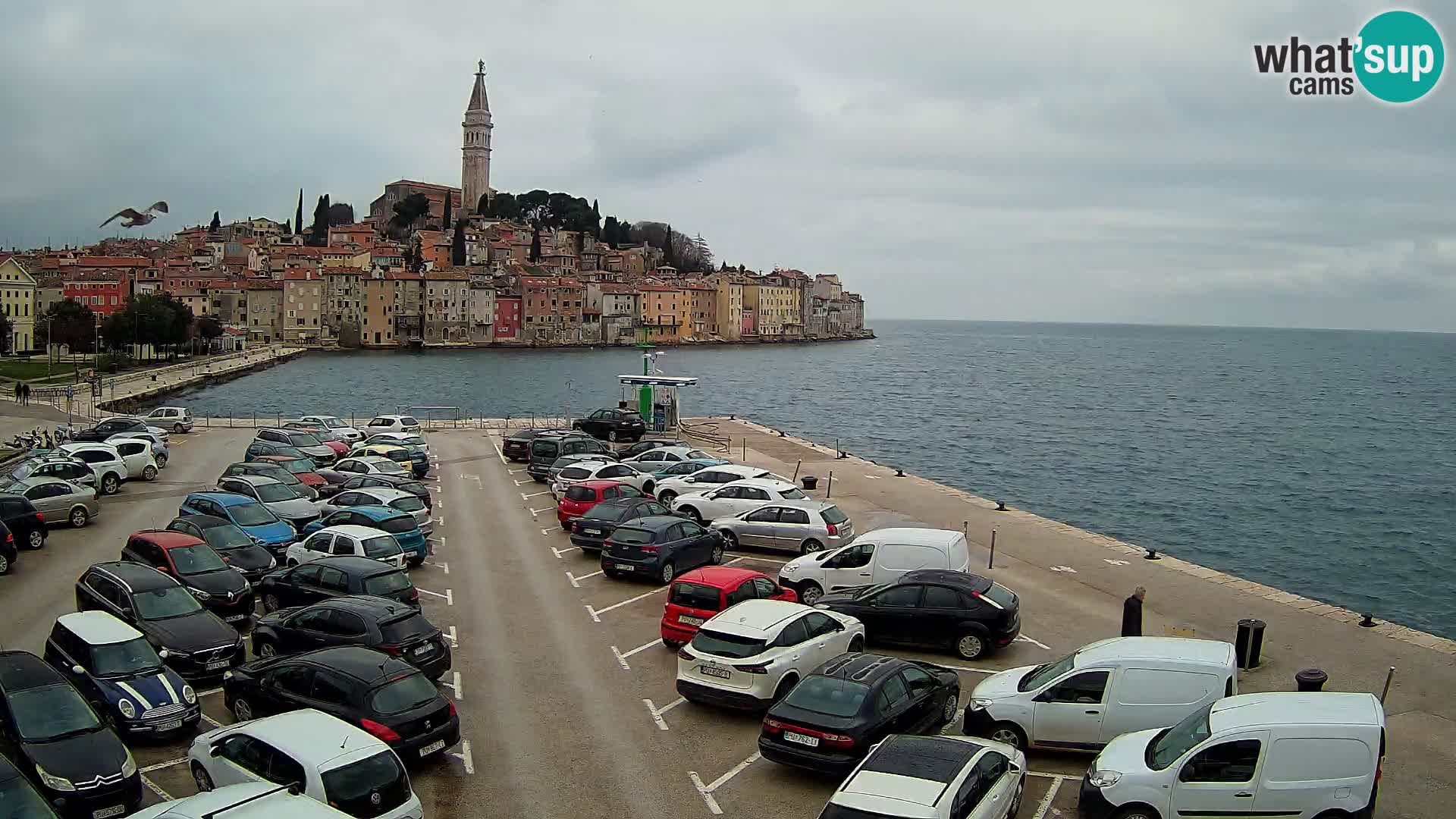 Spletna kamera Rovinj panorama mesta | Istra