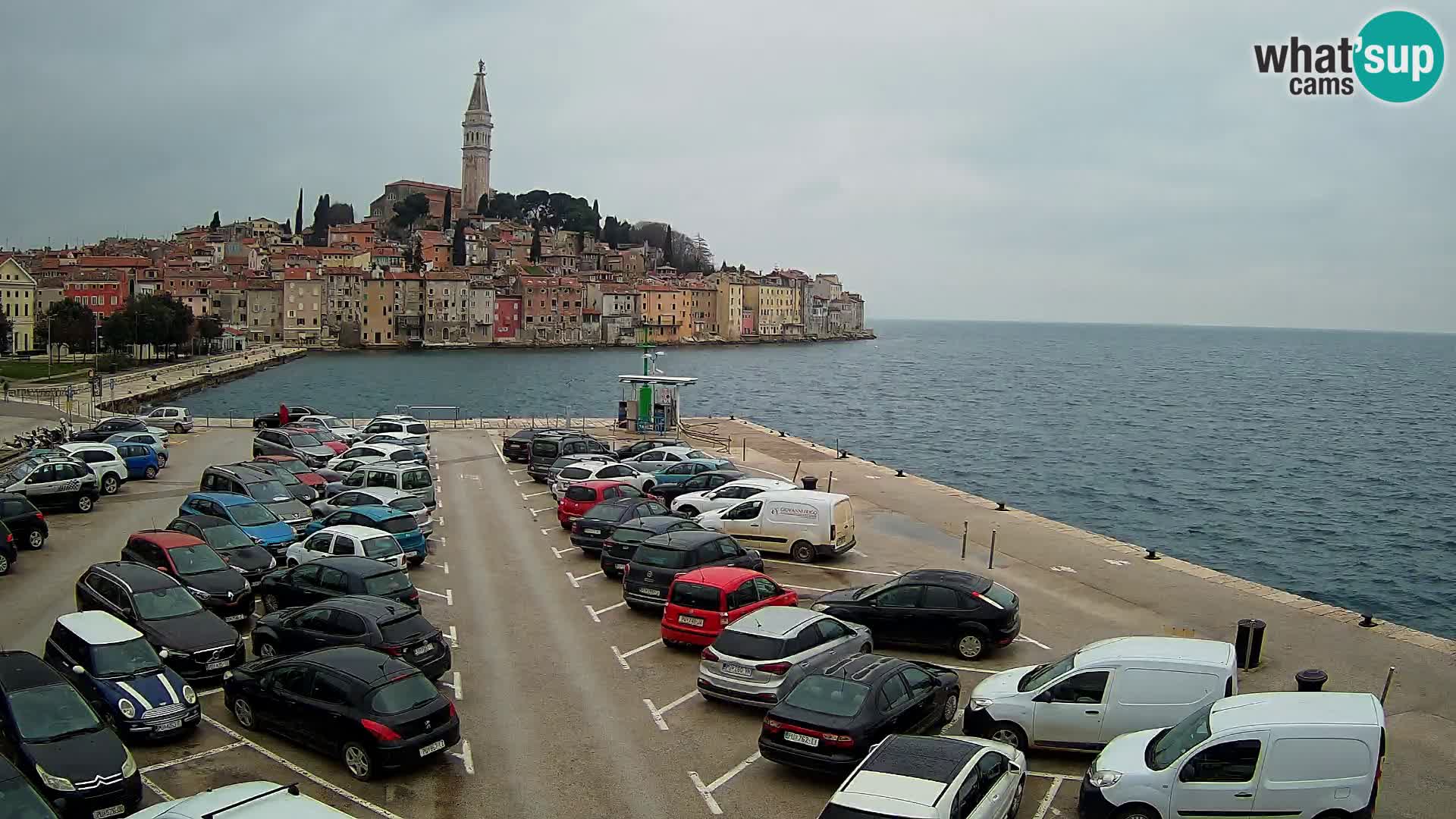 Webcam Rovinj panorama de la ciudad | Istria