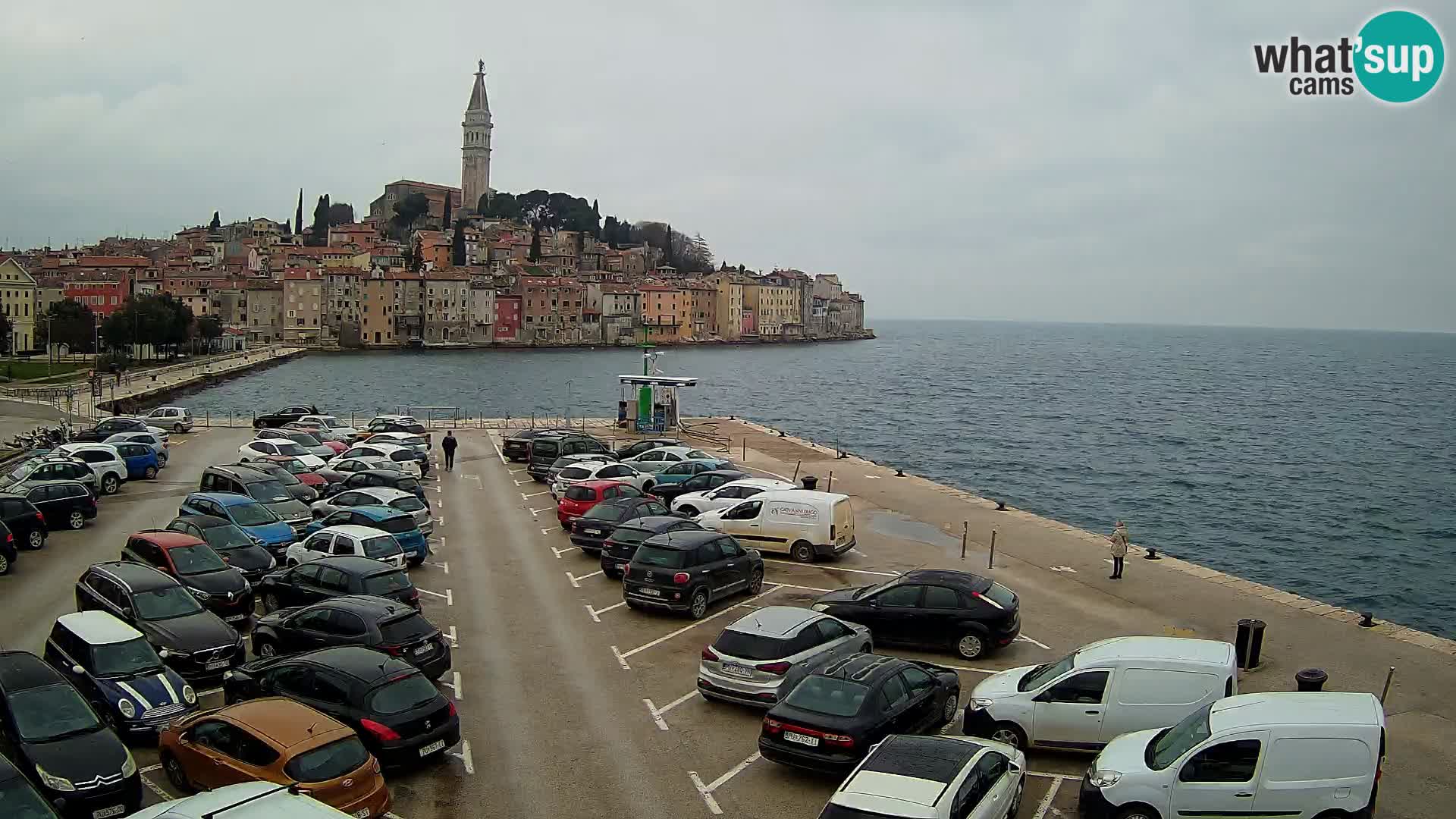 Webcam live Rovinj panorama de la ville | Istrie