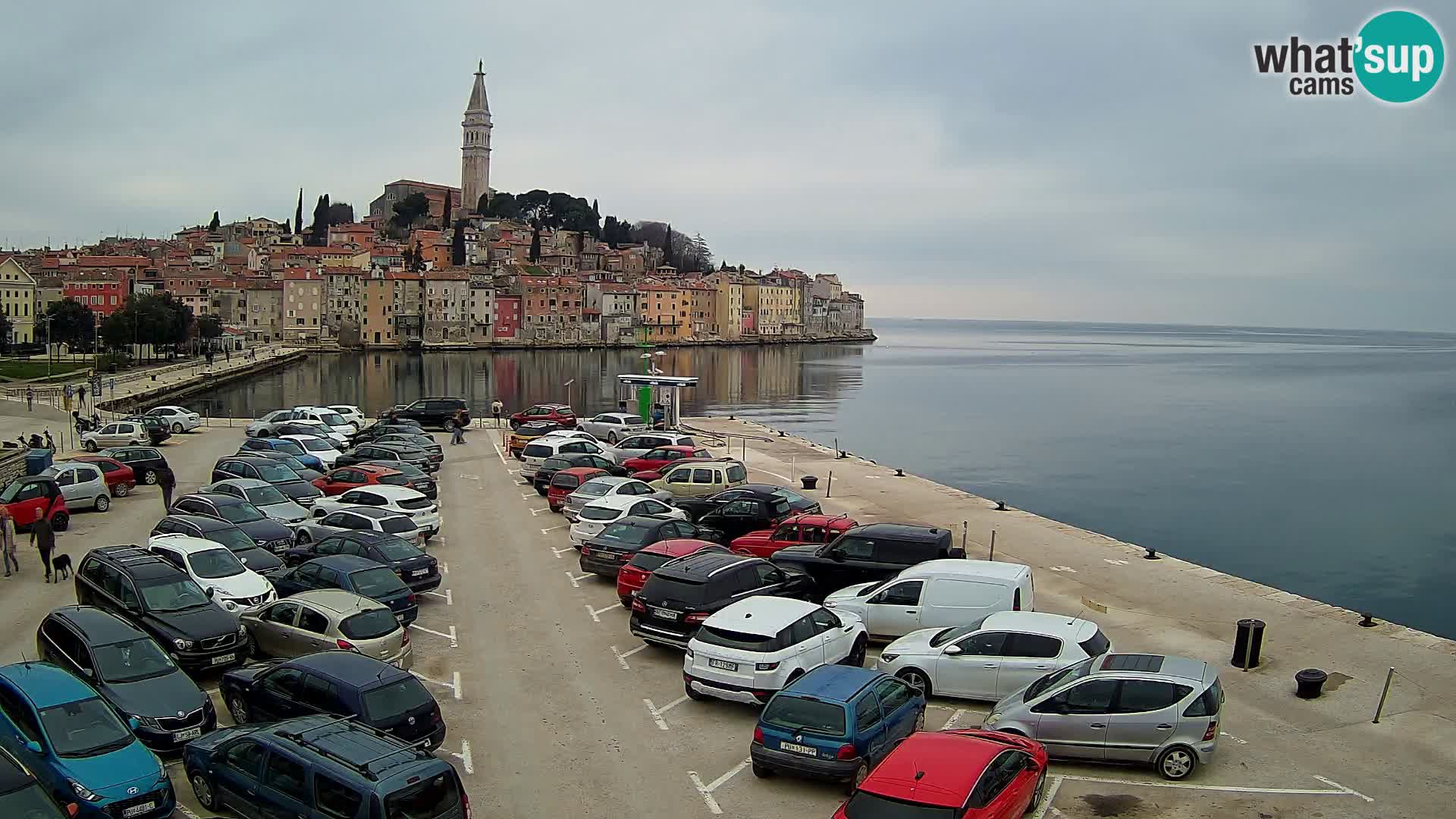 Webcam Rovinj panorama de la ciudad | Istria