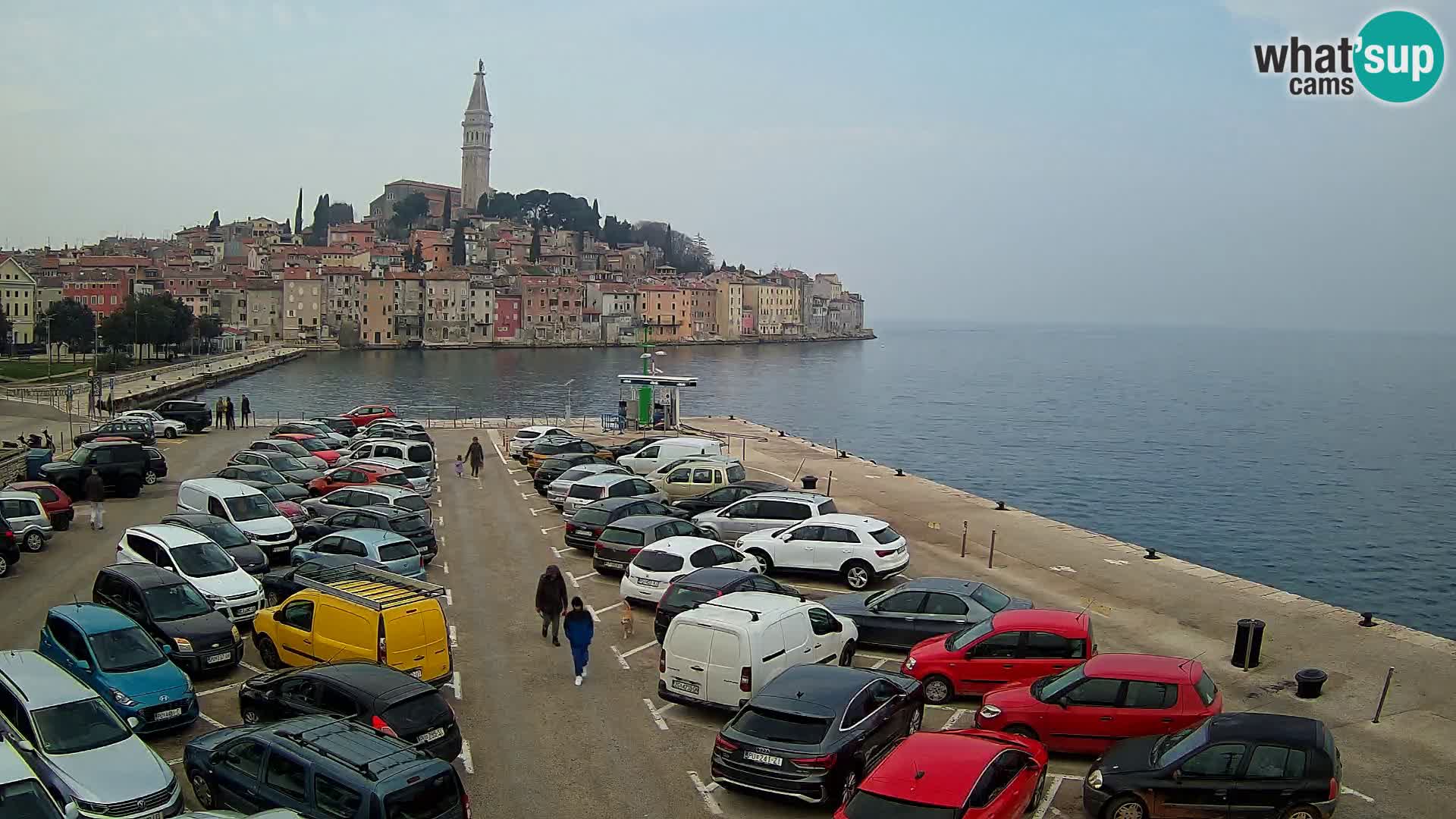 Webcam Rovinj panorama de la ciudad | Istria