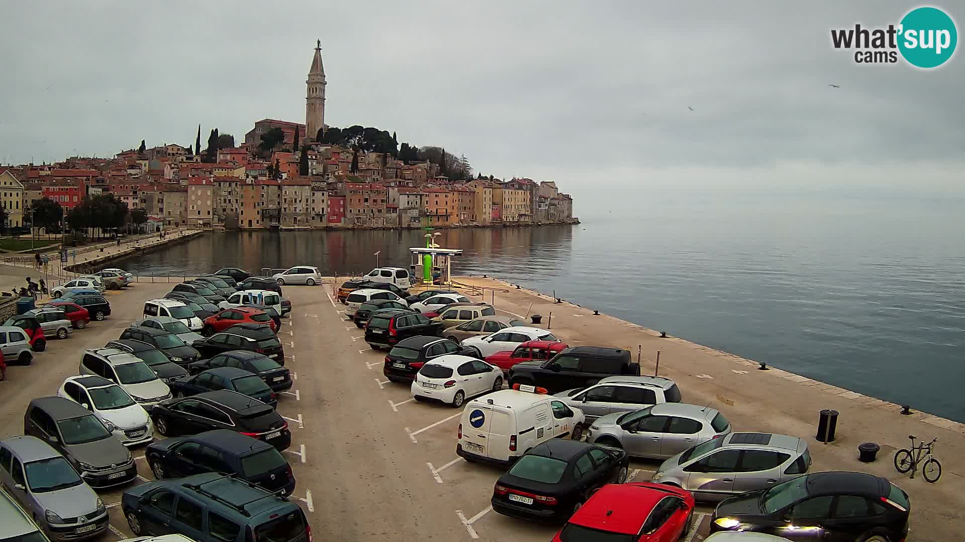 Webcam Rovinj panorama de la ciudad | Istria