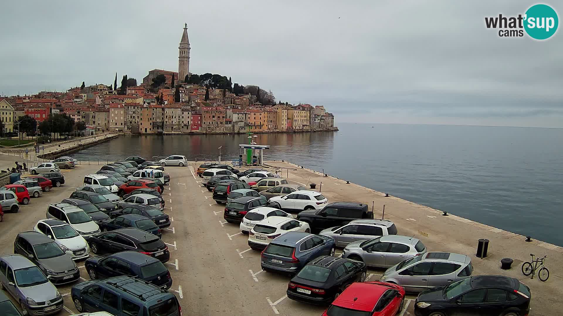 Webcam live Rovinj panorama de la ville | Istrie