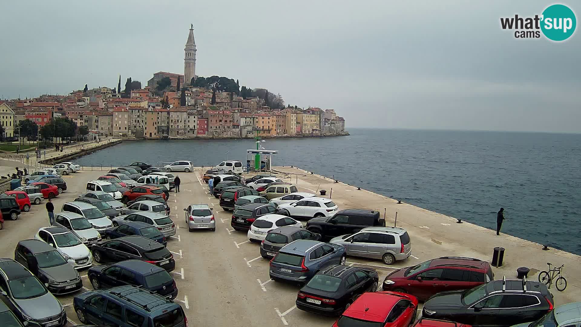 Spletna kamera Rovinj panorama mesta | Istra