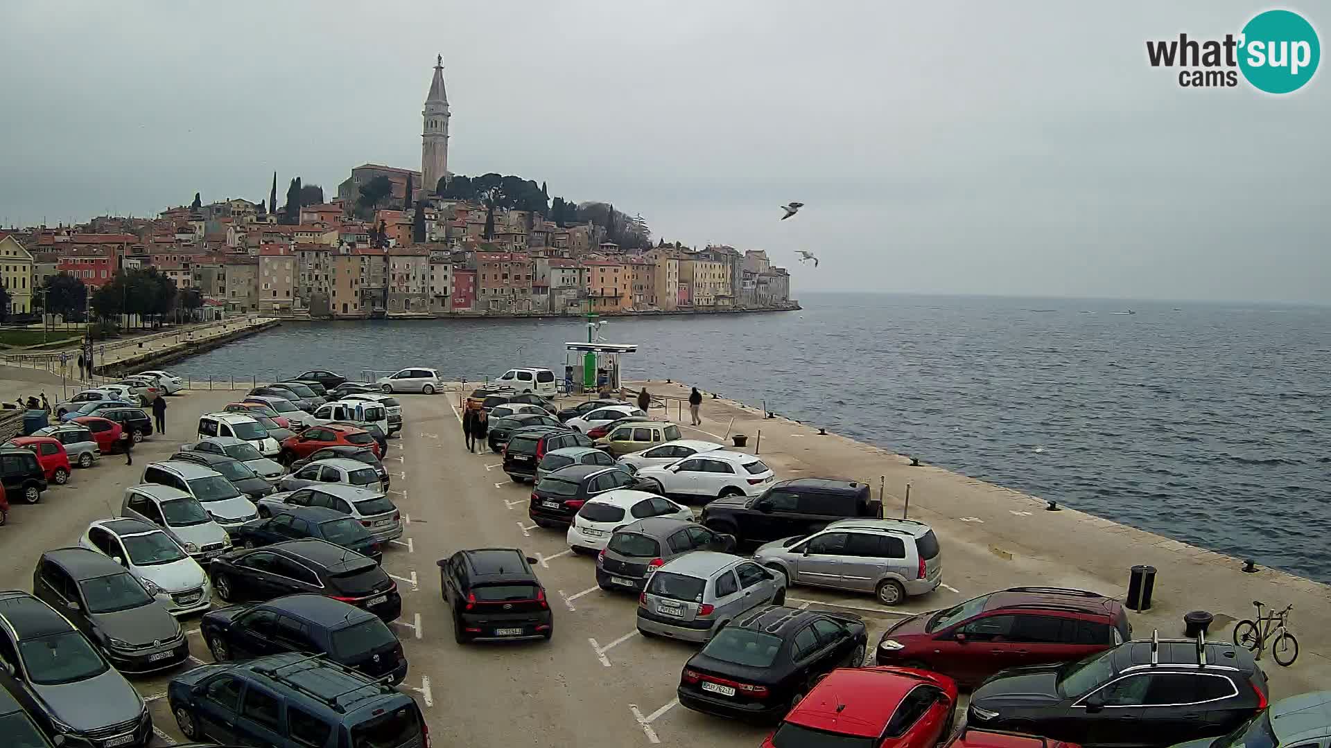 Webcam ROVIGNO Panorama della Città di Rovinj – Istria