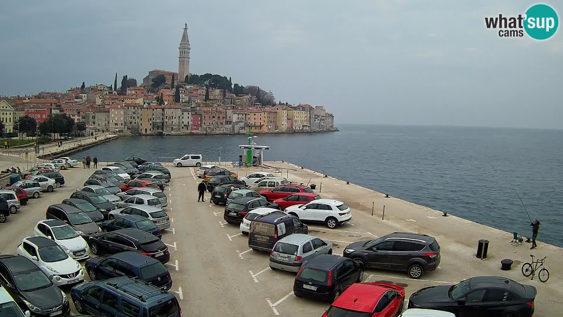 Webcam Rovinj panorama de la ciudad | Istria