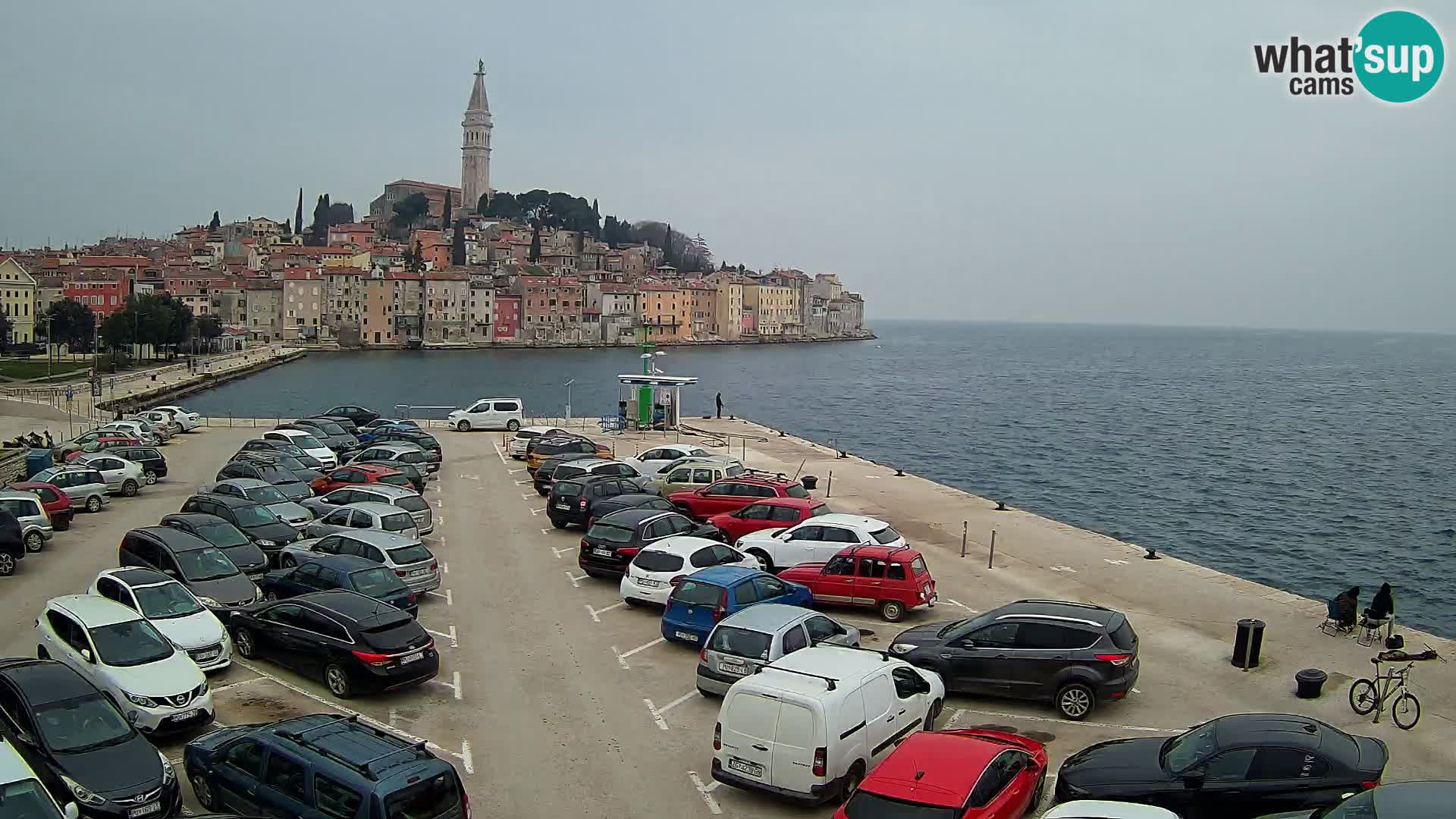 Spletna kamera Rovinj panorama mesta | Istra