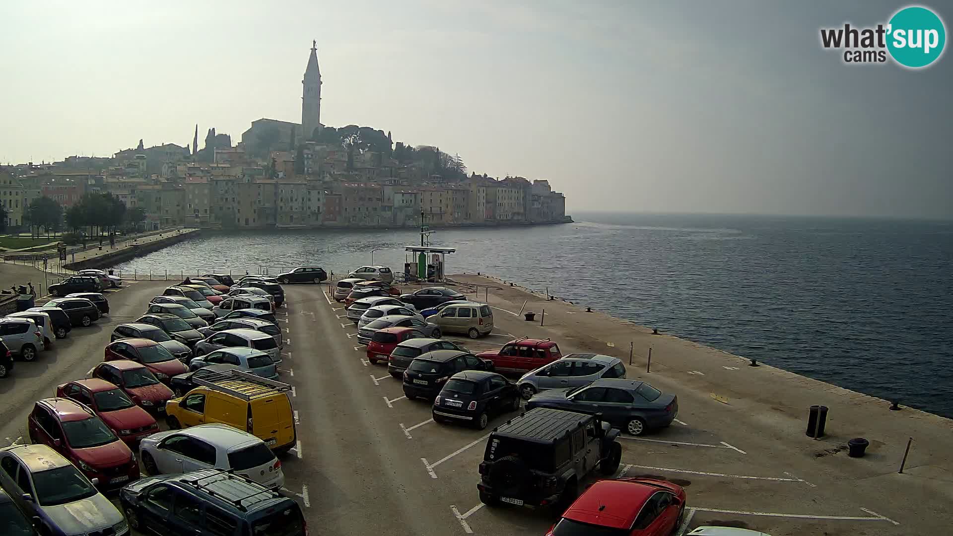 Webcam Rovinj panorama de la ciudad | Istria