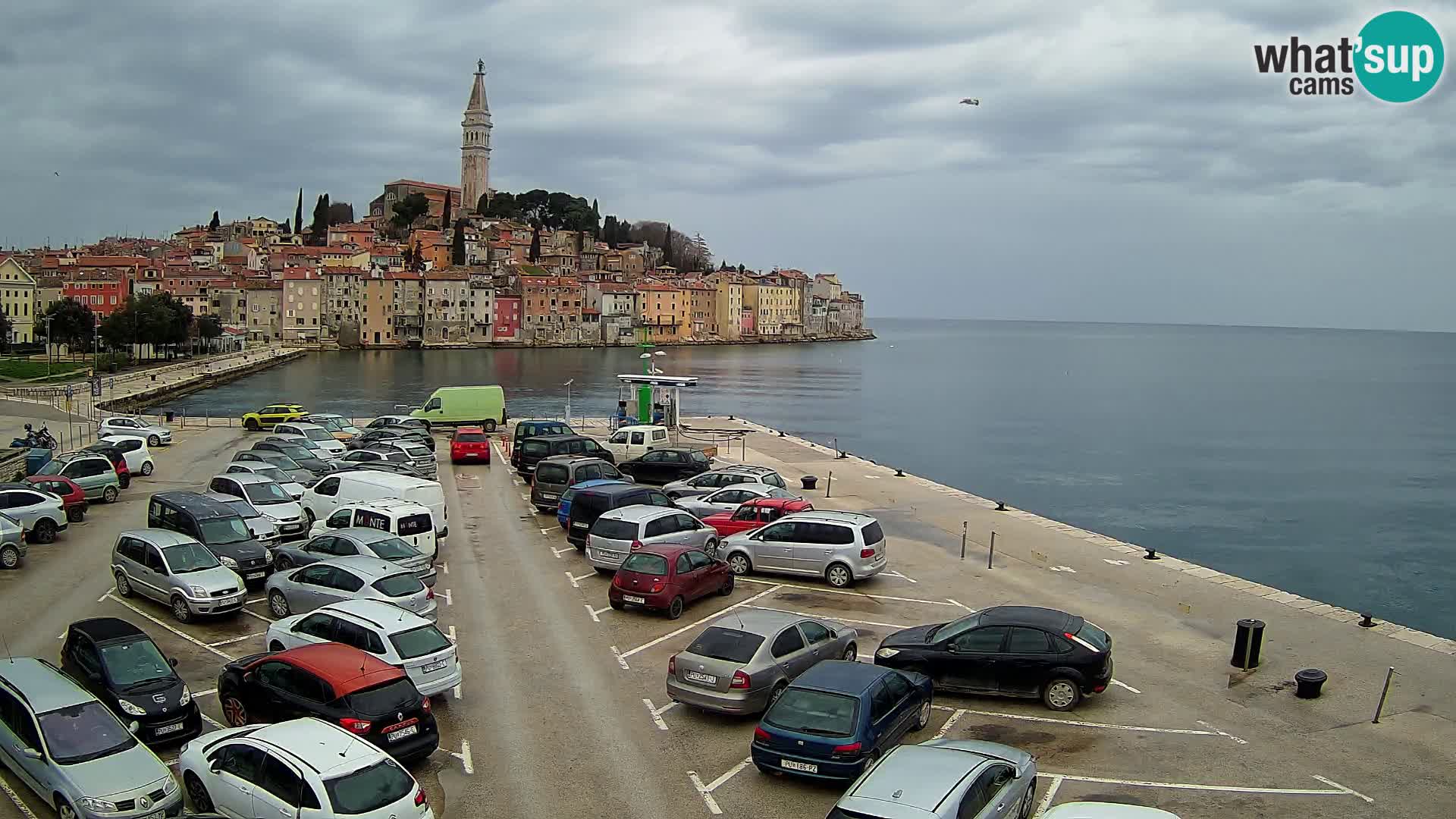 Web kamera Rovinj panorama grada