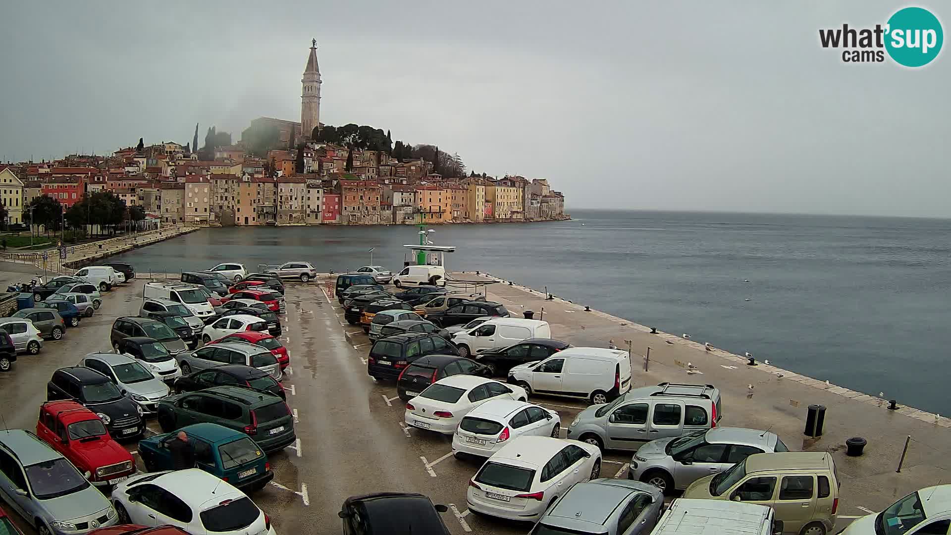 Webcam Rovinj panorama de la ciudad | Istria