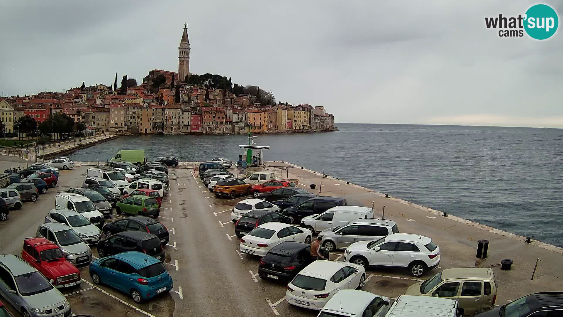 Webcam live Rovinj panorama de la ville | Istrie