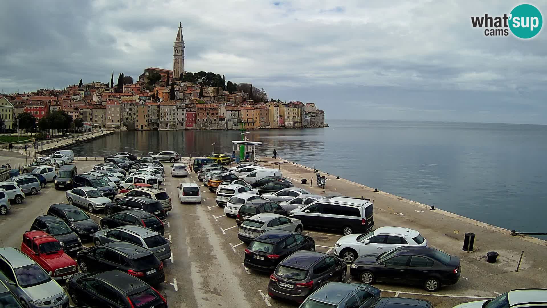 Webcam Rovinj panorama de la ciudad | Istria