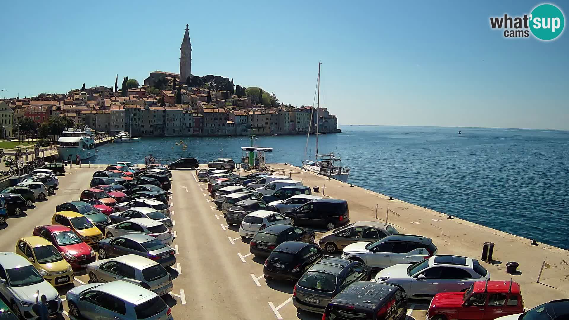 Webcam Rovinj panorama de la ciudad | Istria