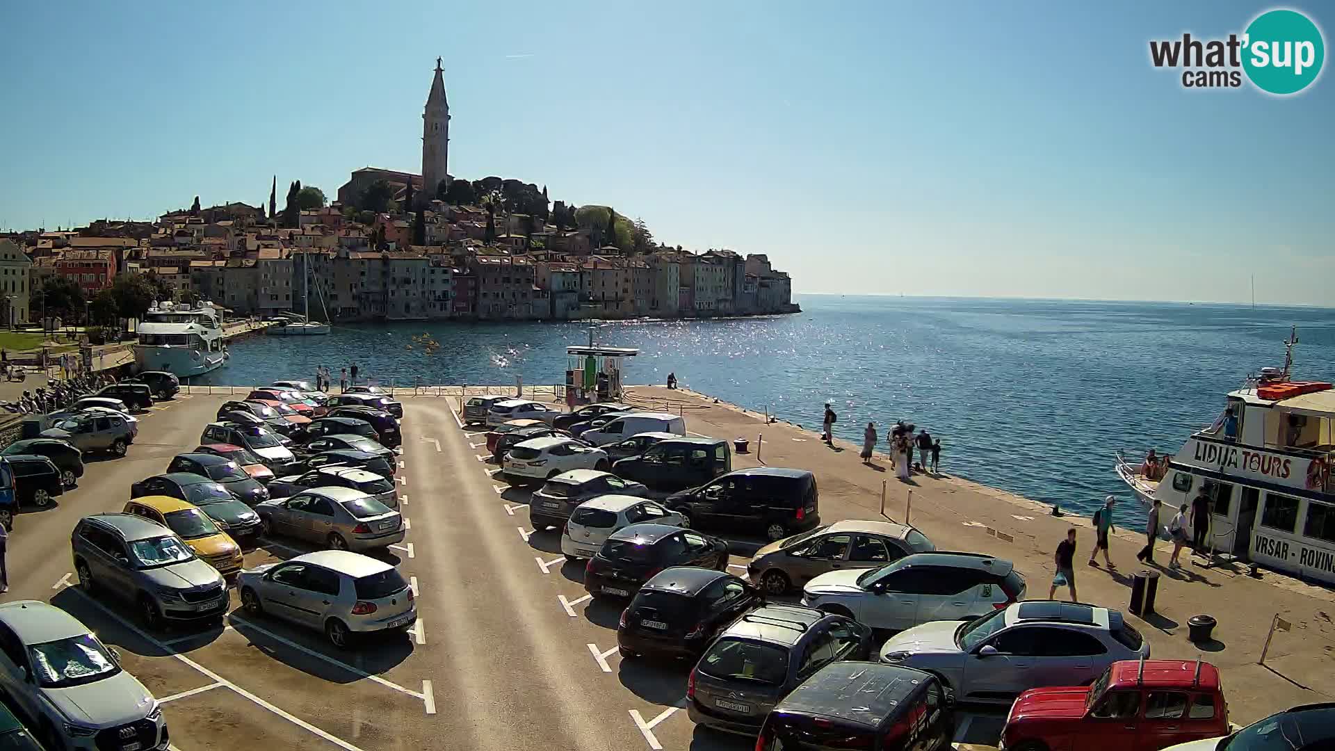 Webcam Rovinj panorama de la ciudad | Istria