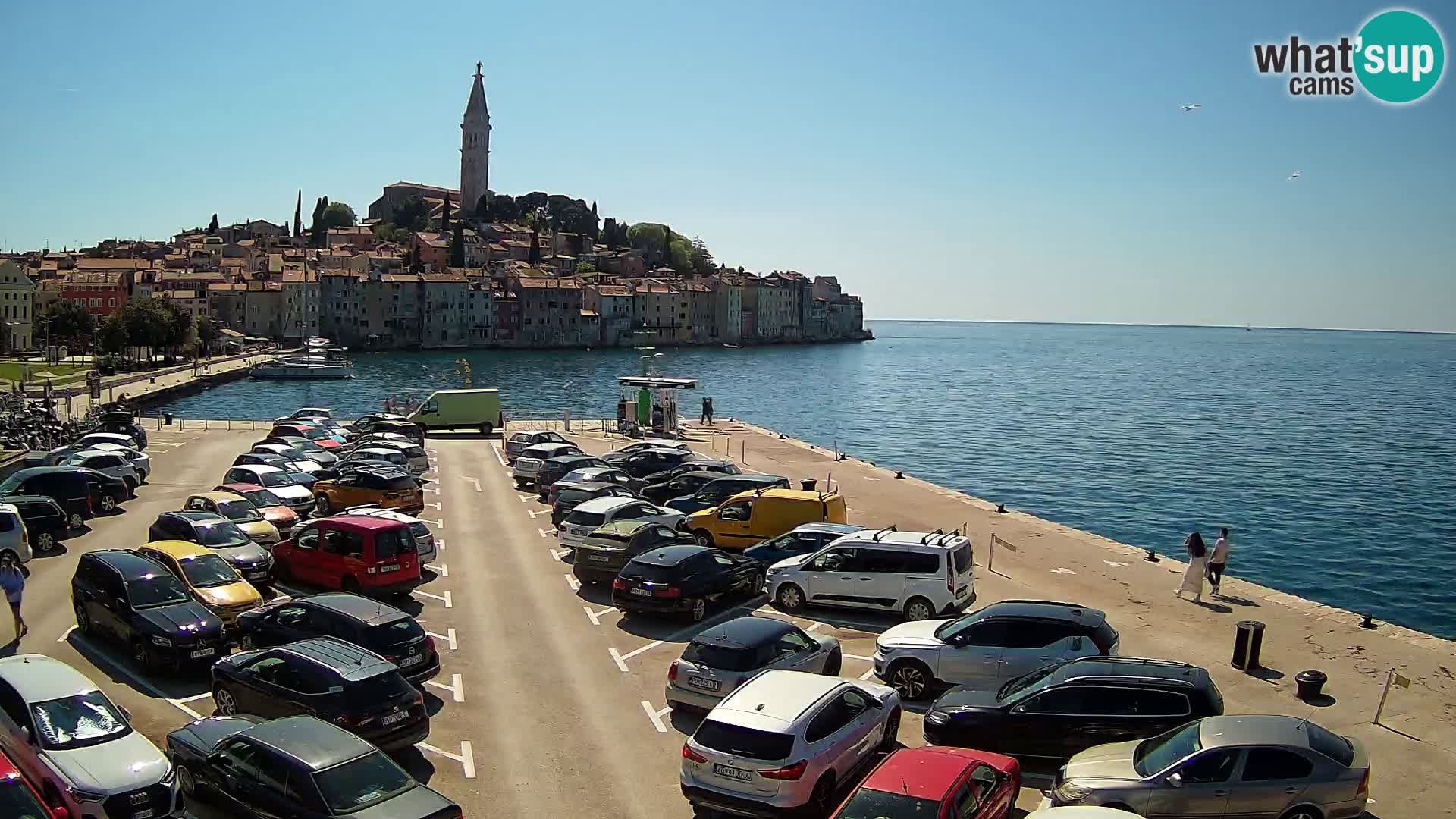 Webcam Rovinj panorama de la ciudad | Istria